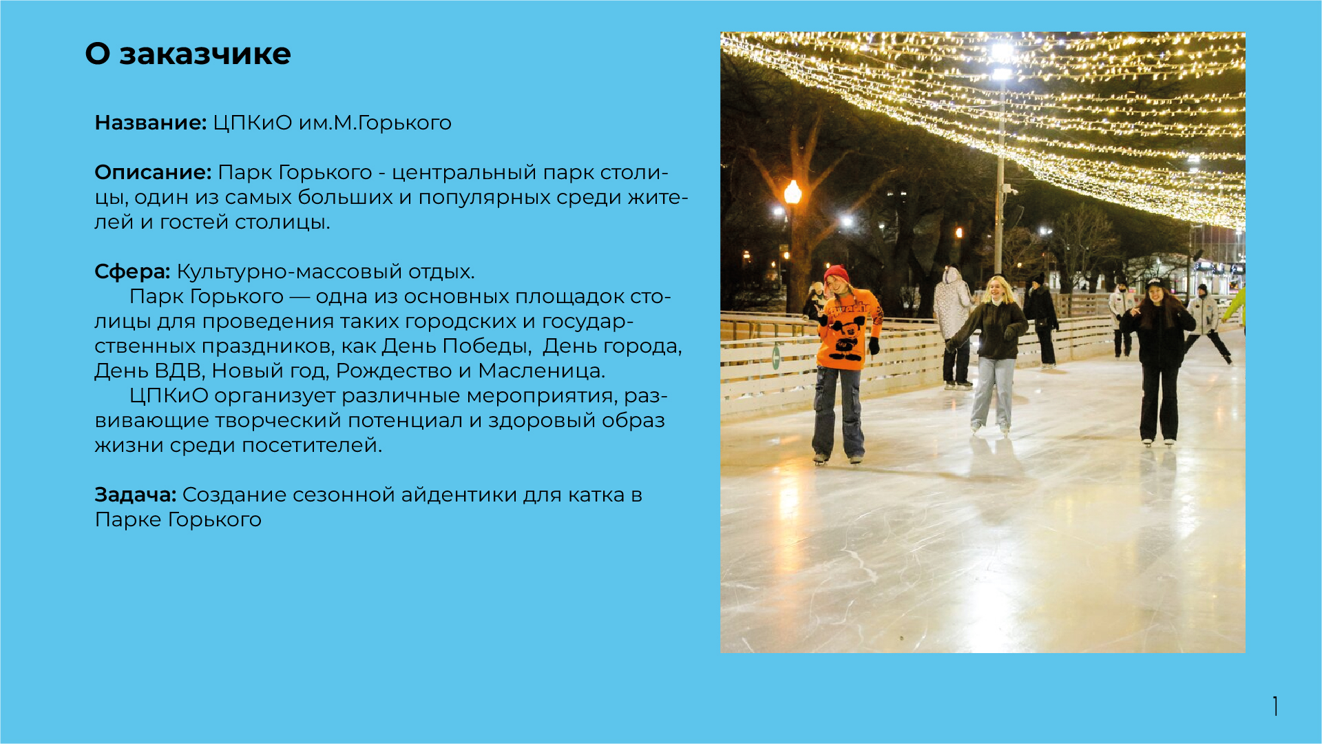 Айдентика катка в Парке Горького — Изображение №3 — Брендинг, Графика на Dprofile
