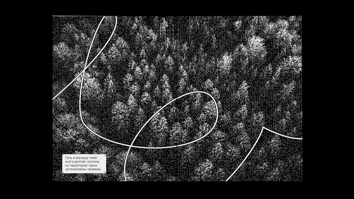 Зин для парка «Ловелас» — Изображение №7 — Графика на Dprofile