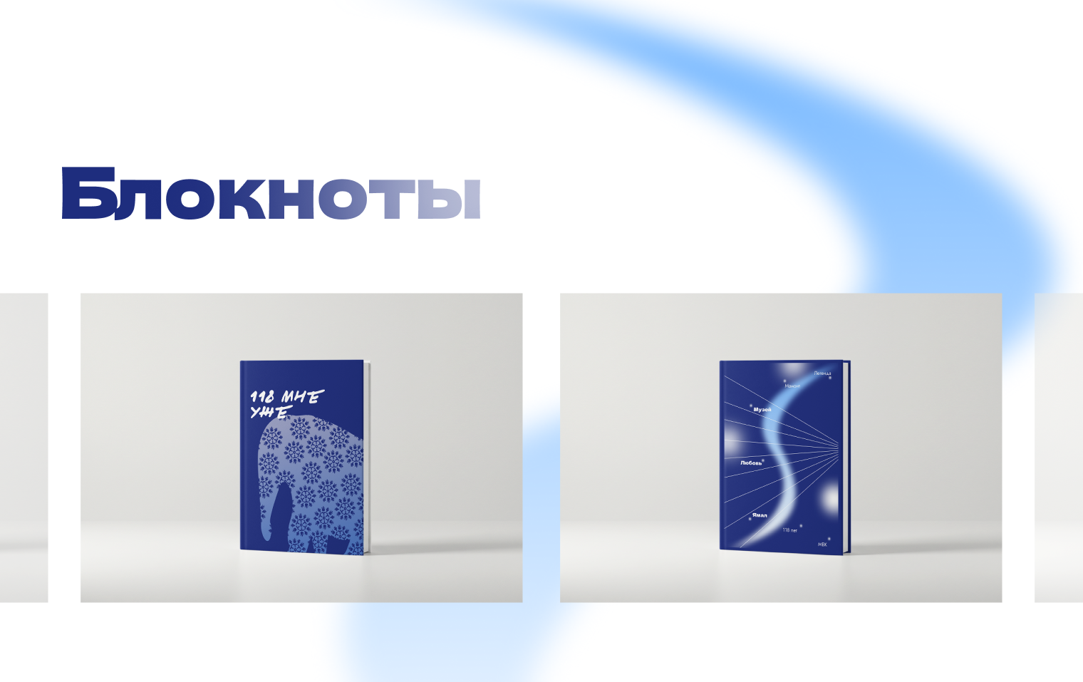 Мерч для МВК имени И.С. Шемановского (Ямал) — Изображение №11 — Брендинг на Dprofile