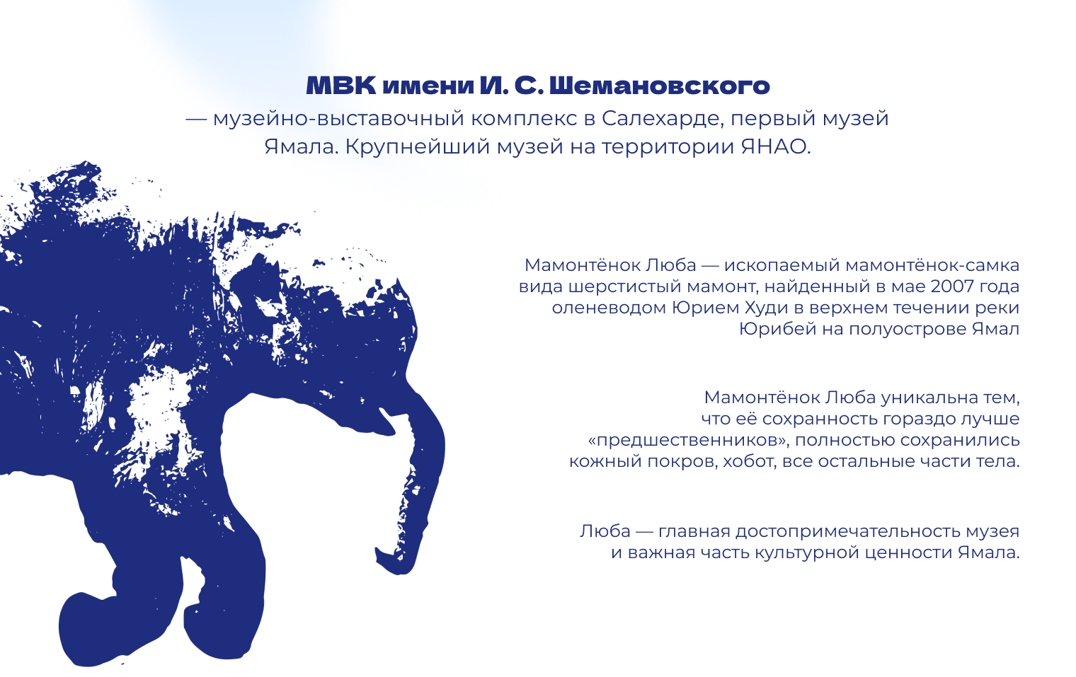 Мерч для МВК имени И.С. Шемановского (Ямал) — Изображение №2 — Брендинг на Dprofile