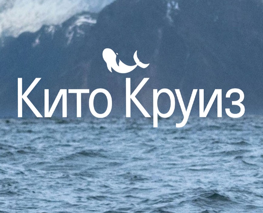 Сайт по подбору круизов с китами «КитоКруиз» на Dprofile