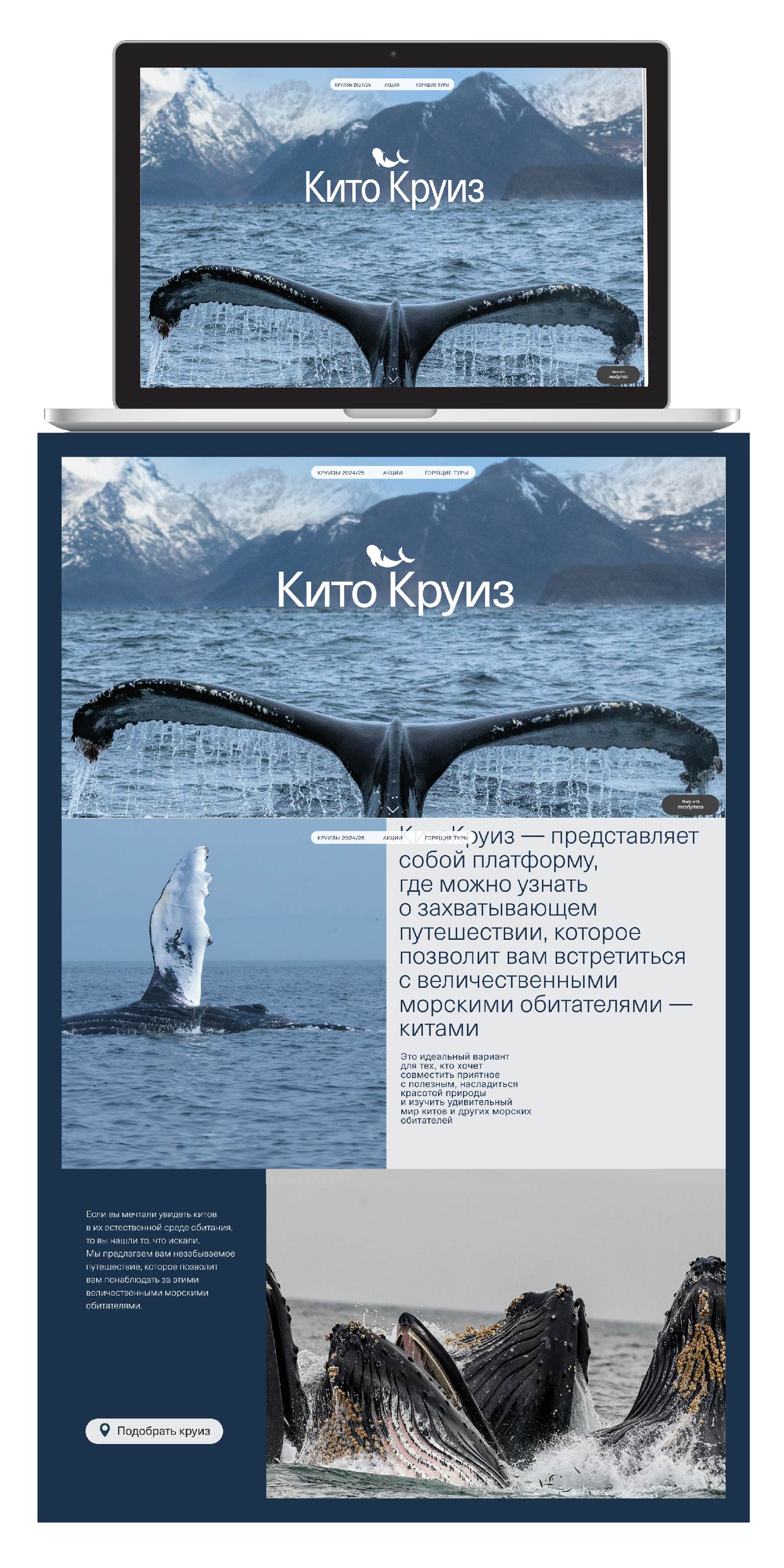 Сайт по подбору круизов с китами «КитоКруиз» — Изображение №1 — Брендинг на Dprofile
