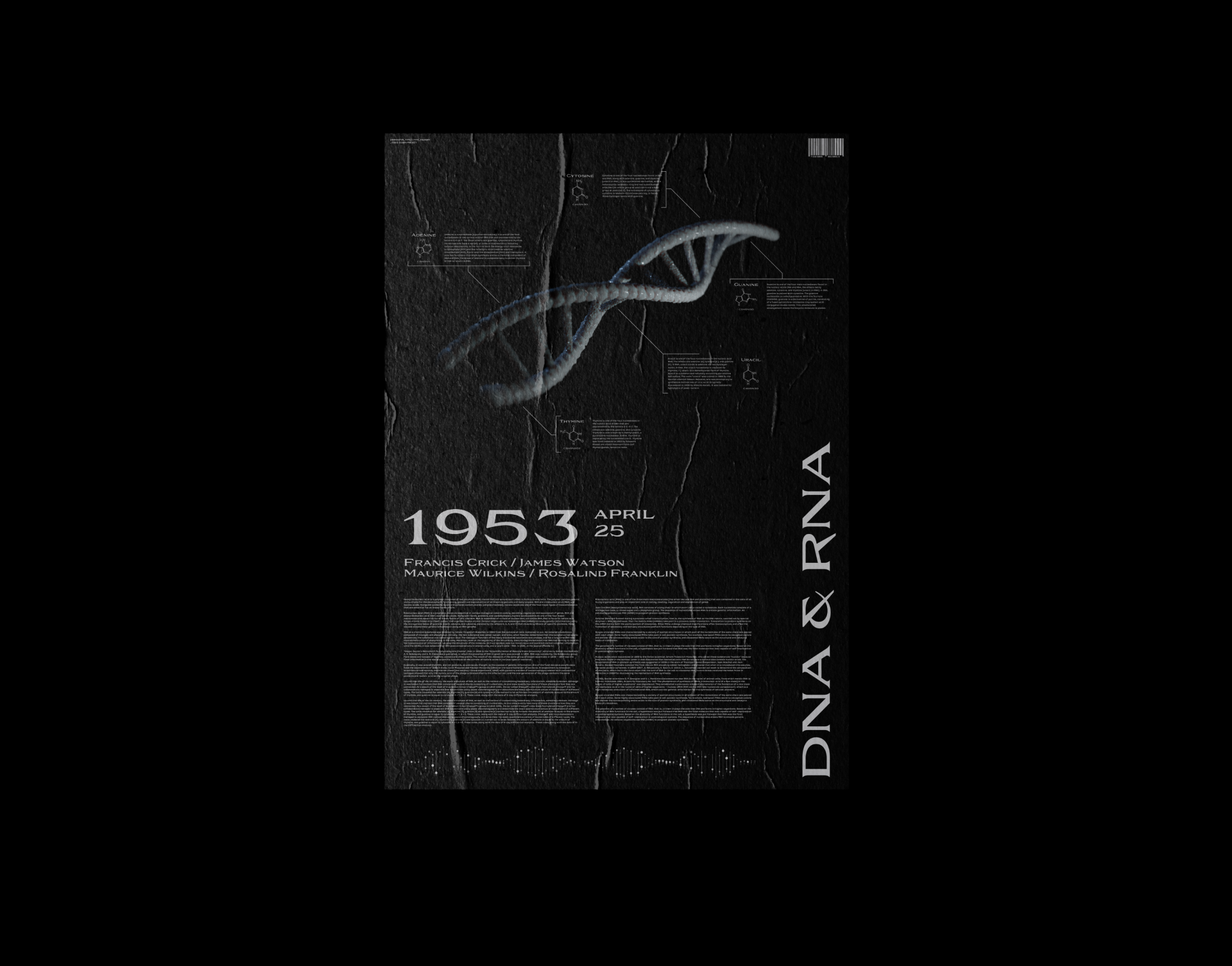 Sodra | Font — Изображение №10 — Брендинг, Графика на Dprofile