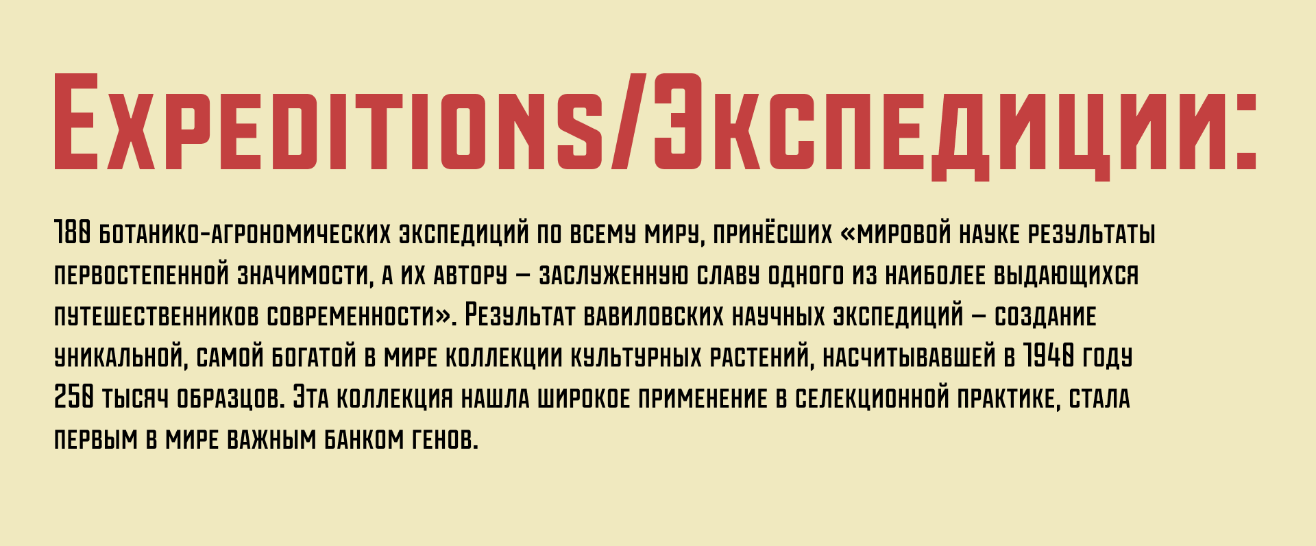 Vavilov | Typeface — Изображение №7 — Брендинг, Графика на Dprofile
