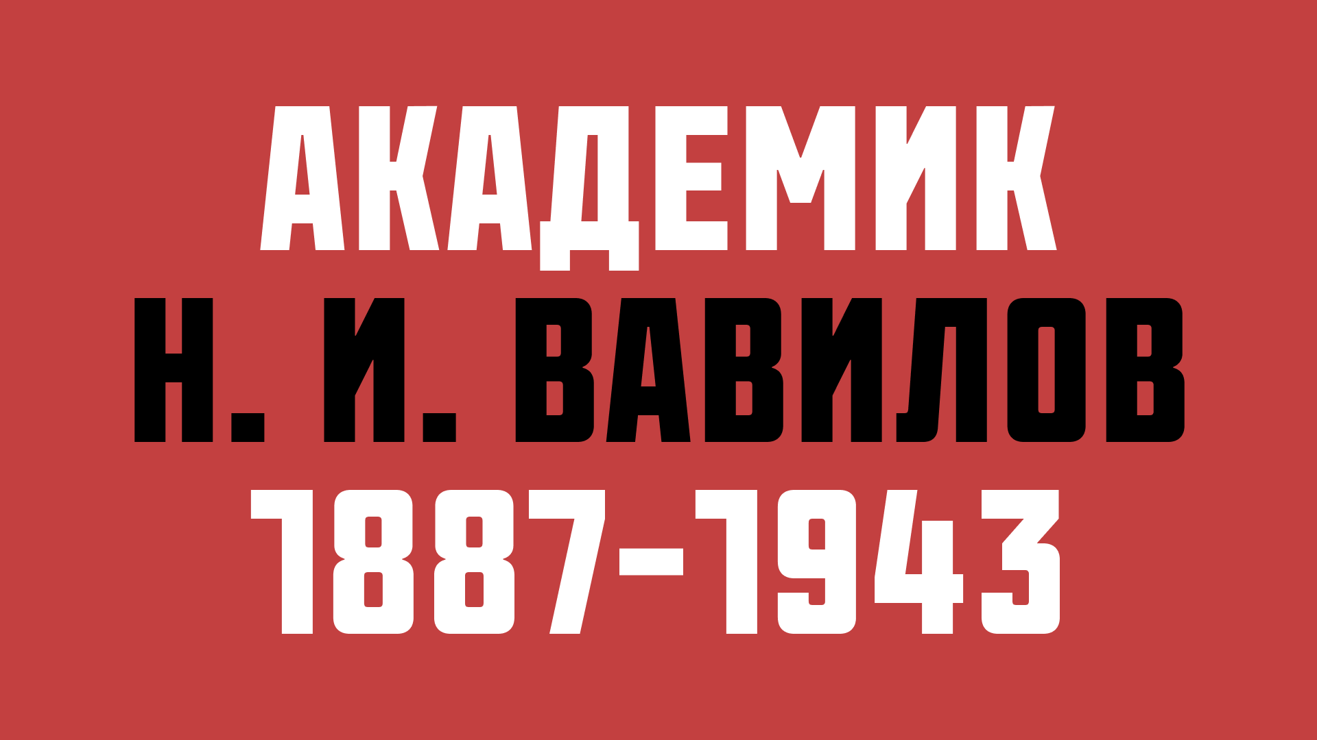 Vavilov | Typeface — Изображение №11 — Брендинг, Графика на Dprofile