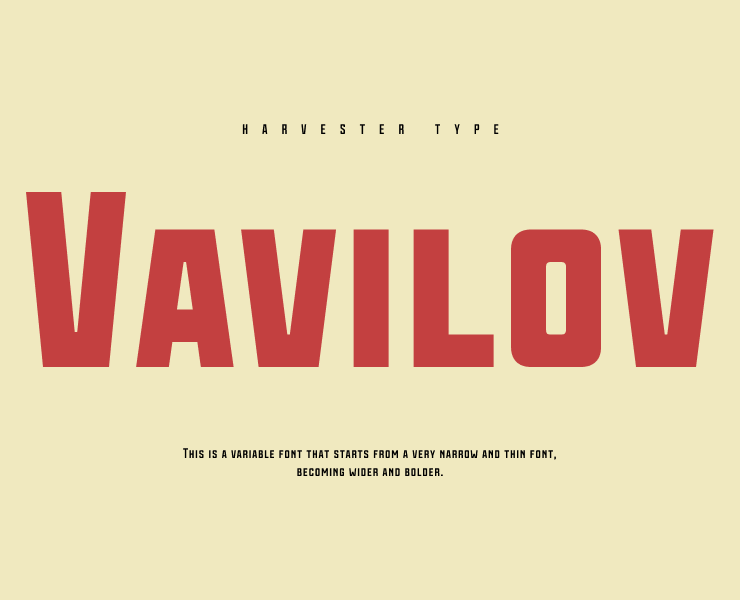 Vavilov | Typeface на Dprofile