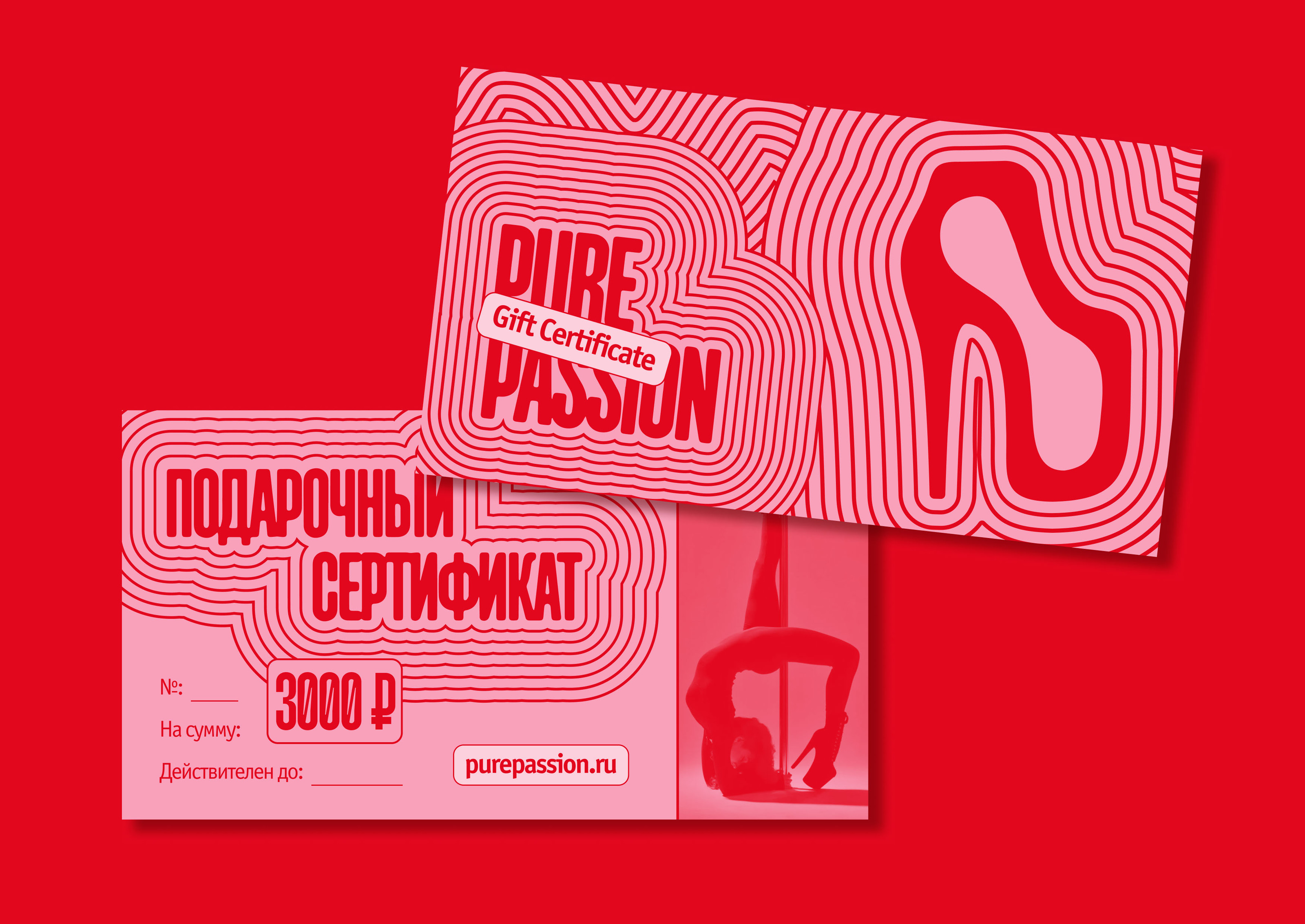Ребрендинг магазина «Pure Passion» — Изображение №13 — Брендинг на Dprofile