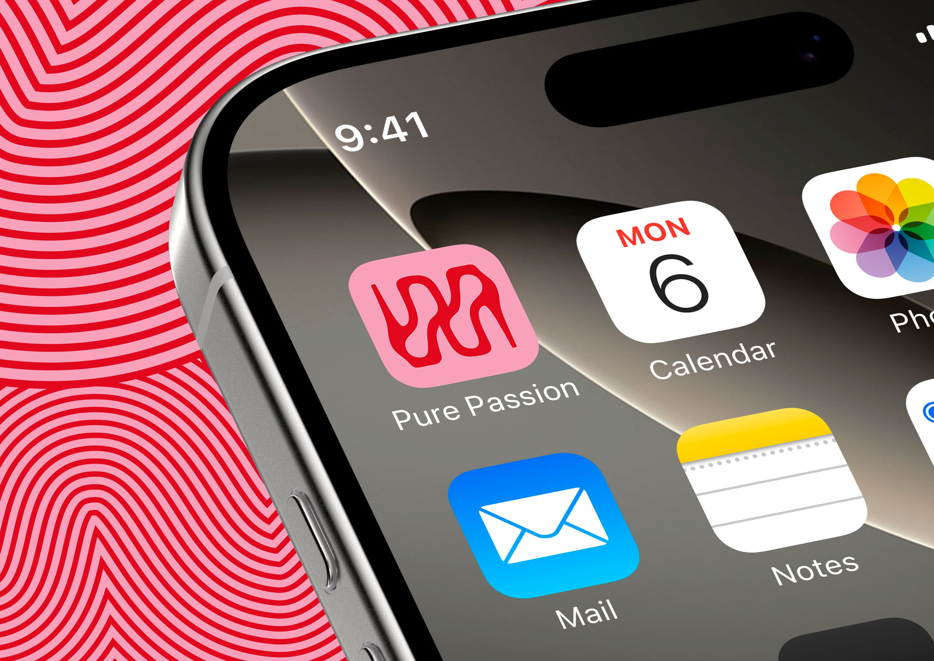 Ребрендинг магазина «Pure Passion» — Изображение №4 — Брендинг на Dprofile