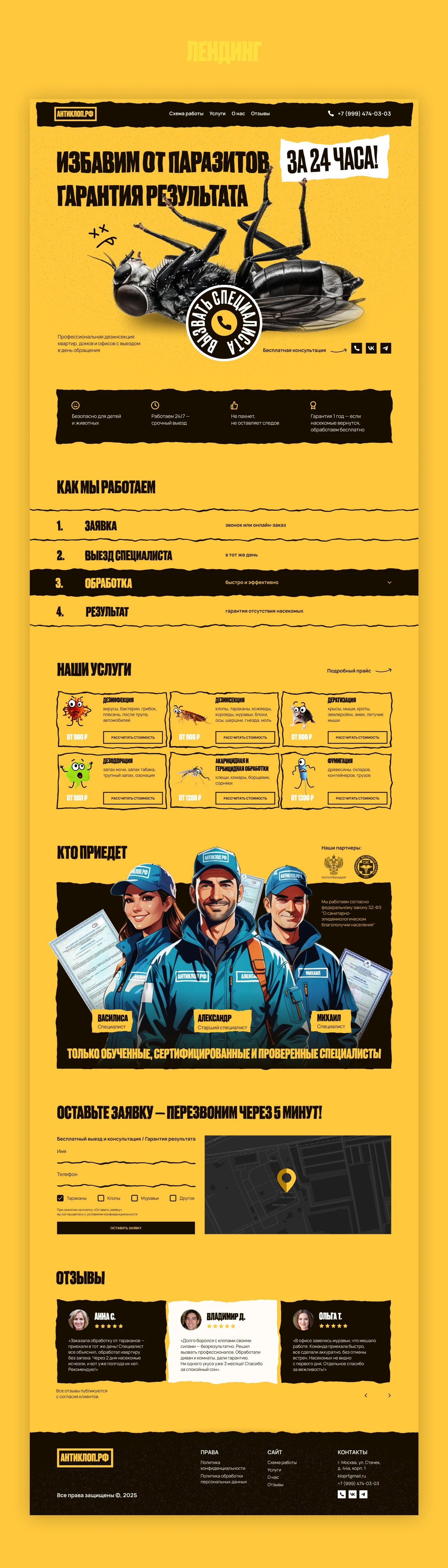 Лендинг/дезинсекция — Изображение №2 — Интерфейсы, Брендинг на Dprofile