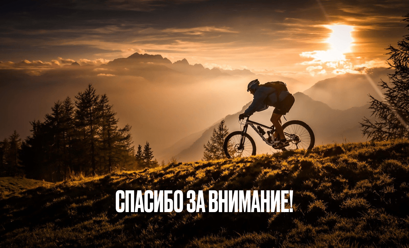 Сайт и логотип для веломагазина — Изображение №6 — Интерфейсы, Брендинг на Dprofile