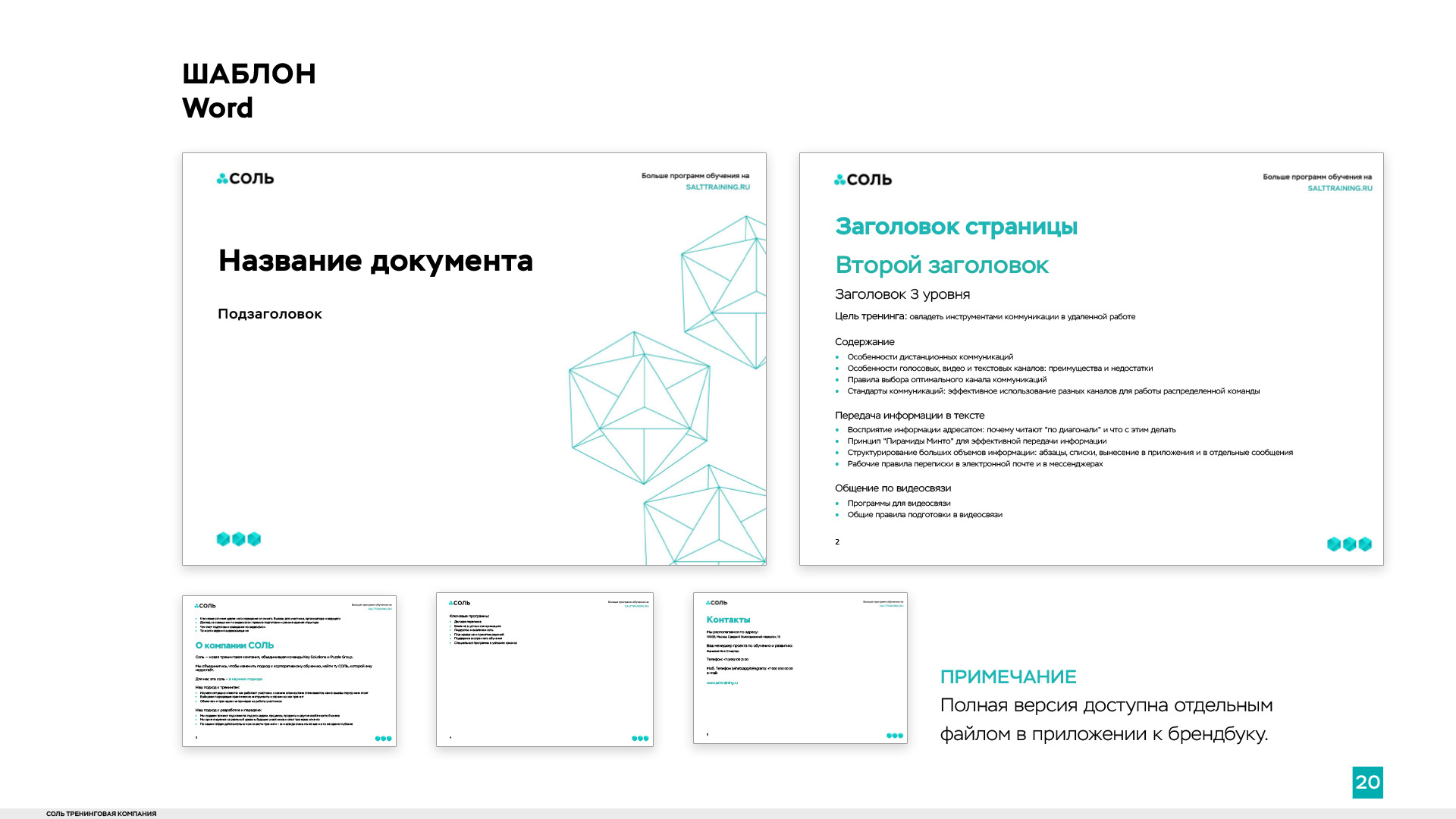 Salt training — Brand Identity — Изображение №34 — Брендинг на Dprofile