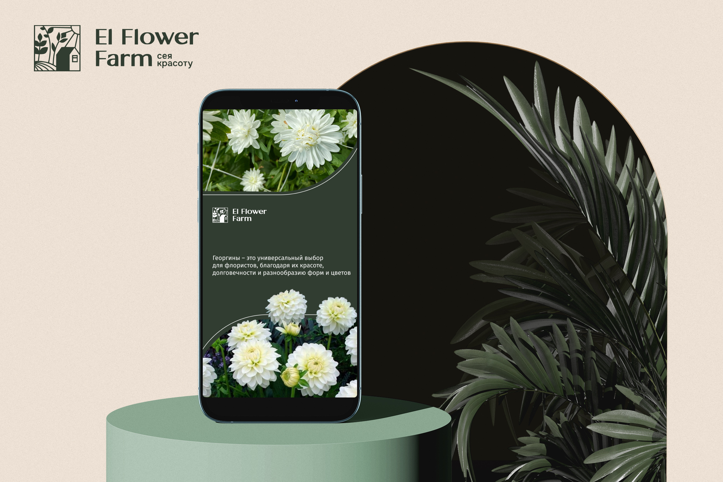 Рекламные баннеры для соцсетей El Flower Farm — Изображение №1 — Интерфейсы, Маркетинг на Dprofile