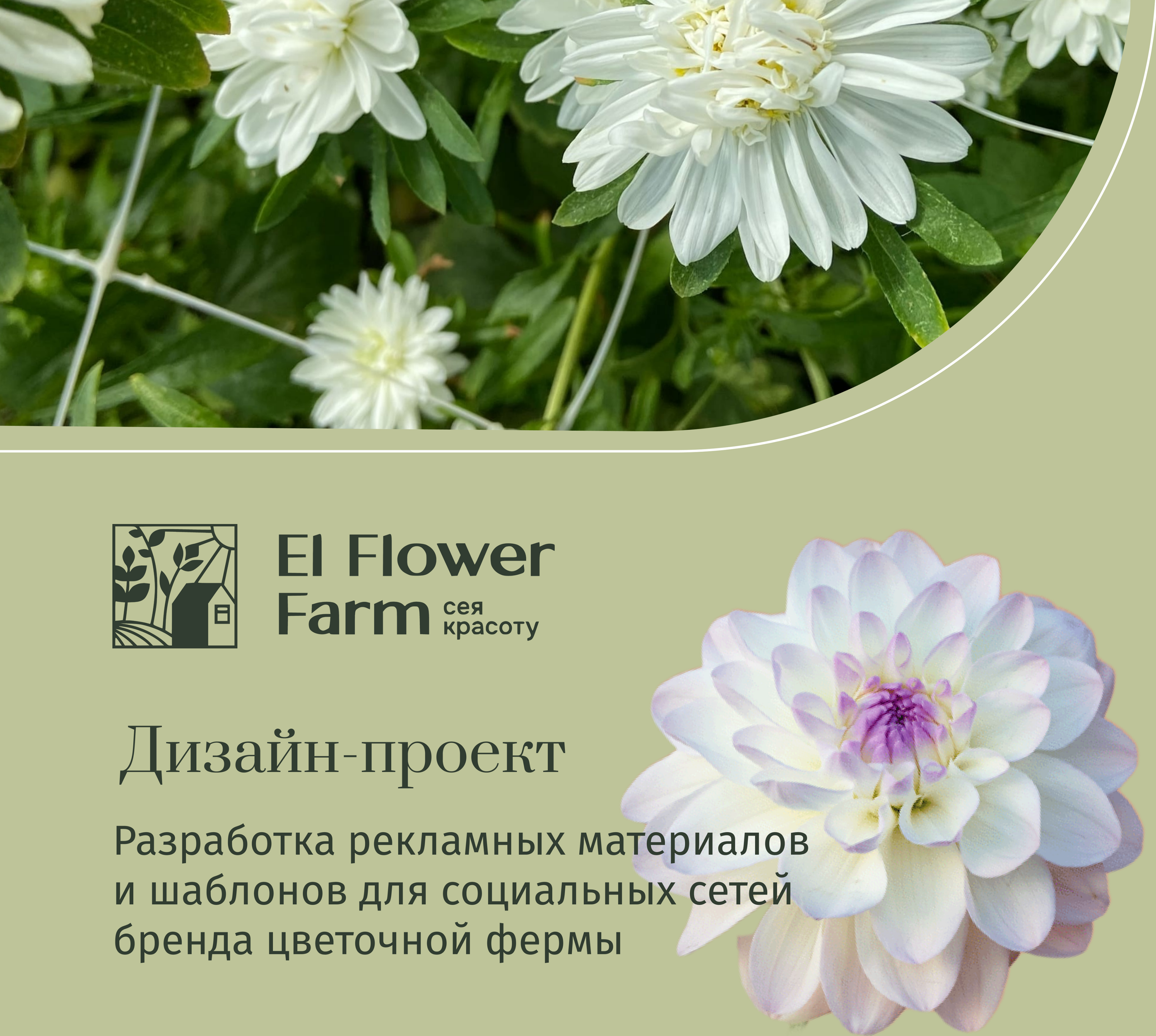 Рекламные баннеры для соцсетей El Flower Farm — Изображение №2 — Интерфейсы, Маркетинг на Dprofile