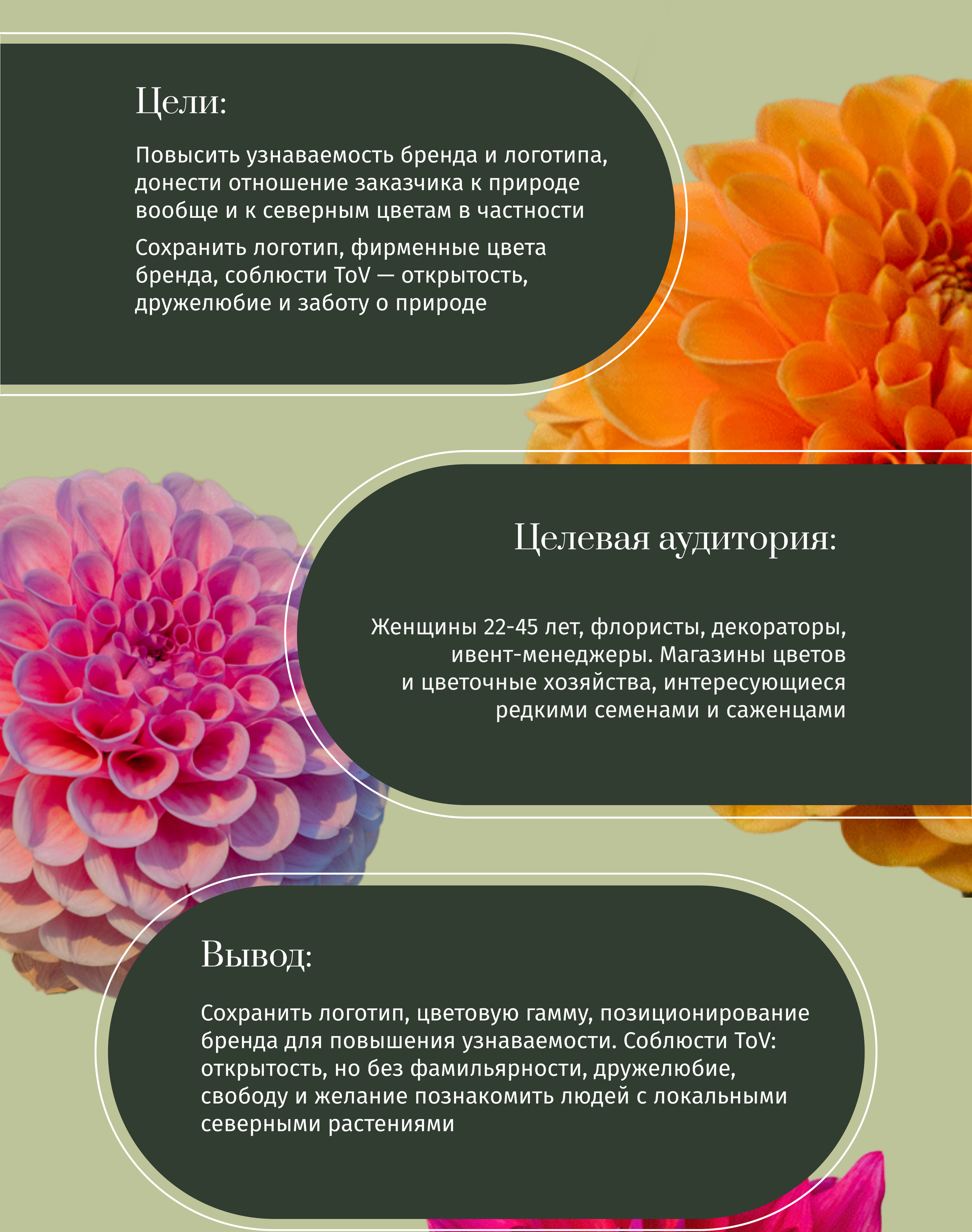 Рекламные баннеры для соцсетей El Flower Farm — Изображение №3 — Интерфейсы, Маркетинг на Dprofile