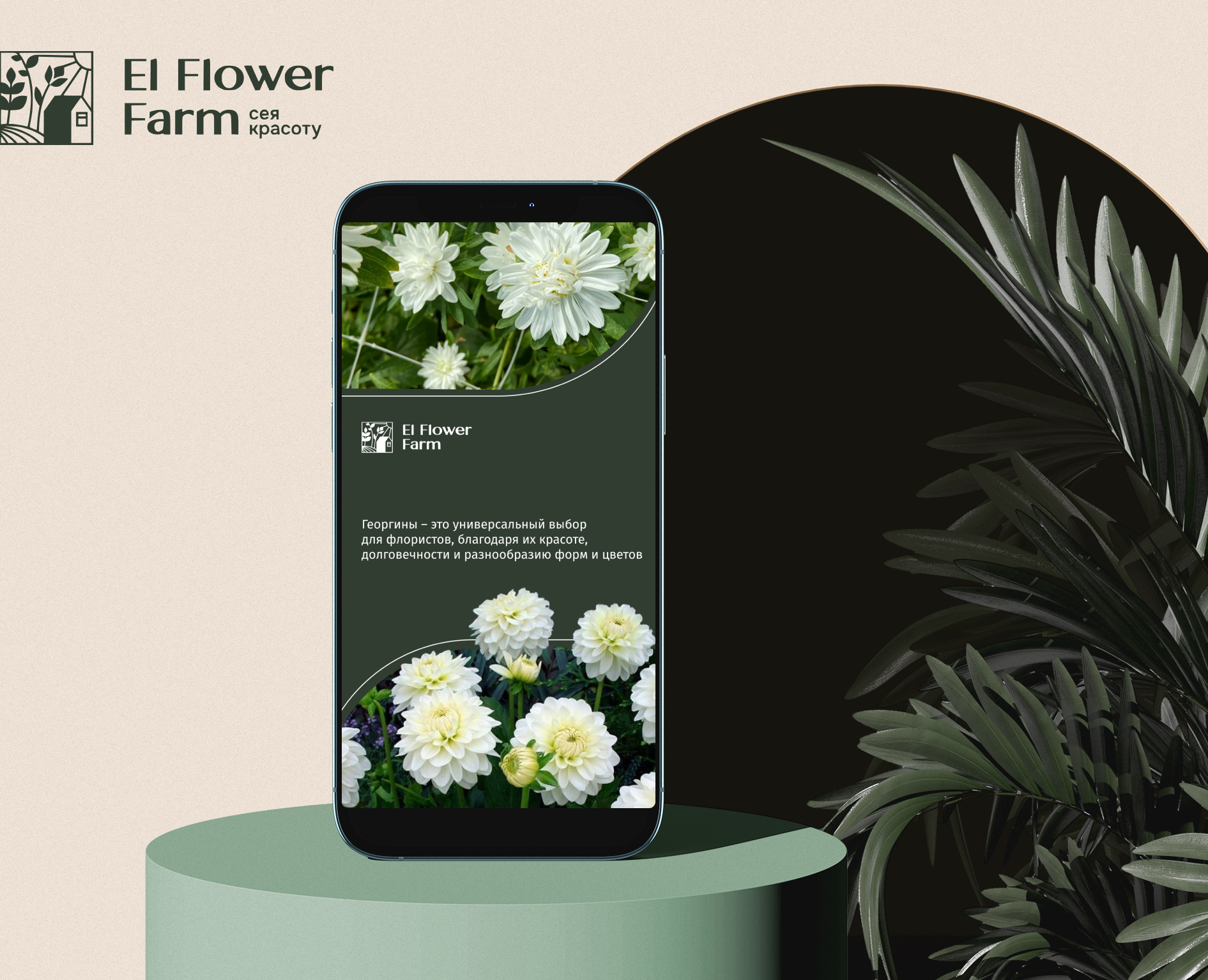 Рекламные баннеры для соцсетей El Flower Farm — Интерфейсы, Маркетинг на Dprofile