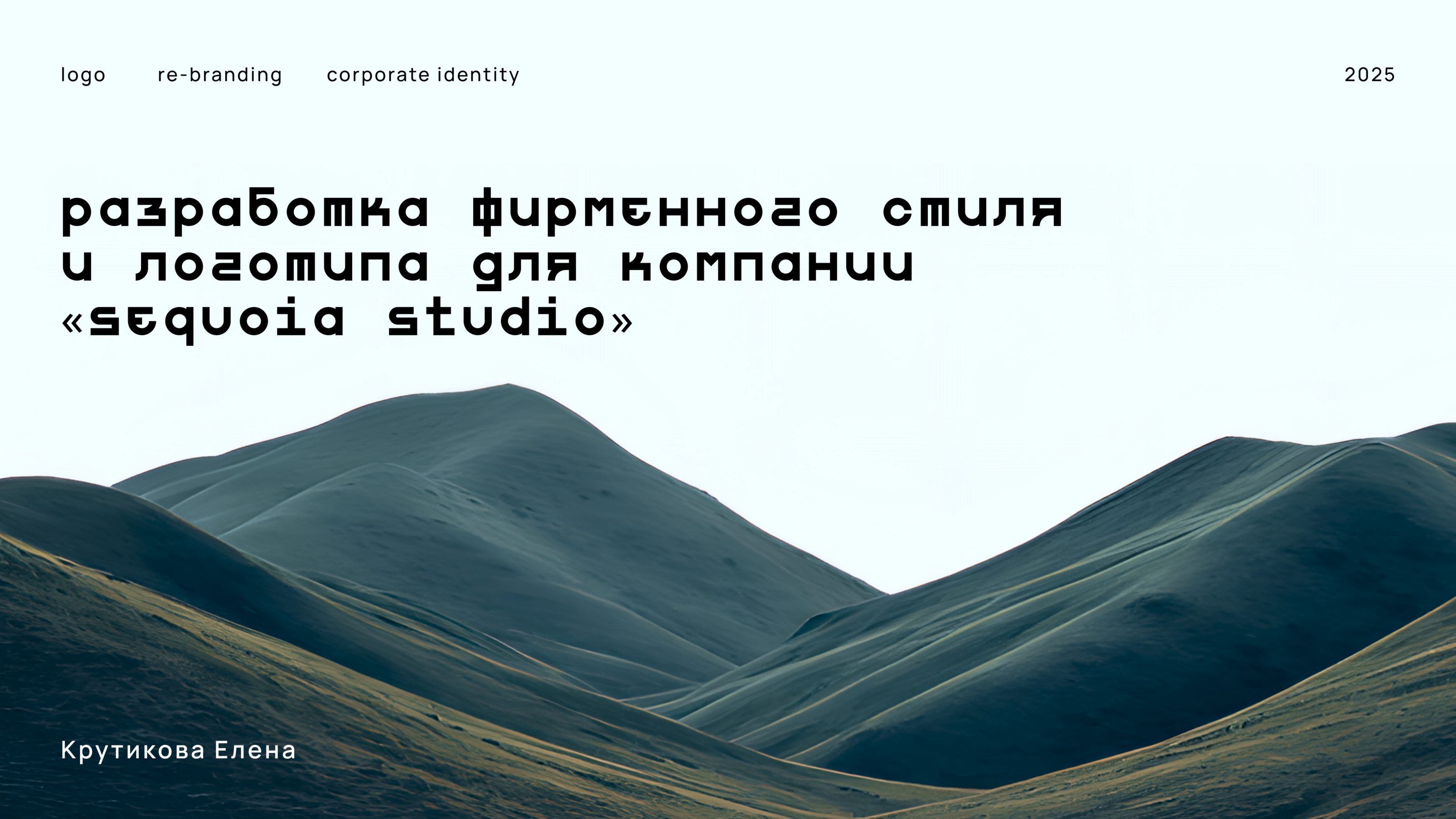 Sequoia Studio branding — Изображение №1 — Брендинг на Dprofile