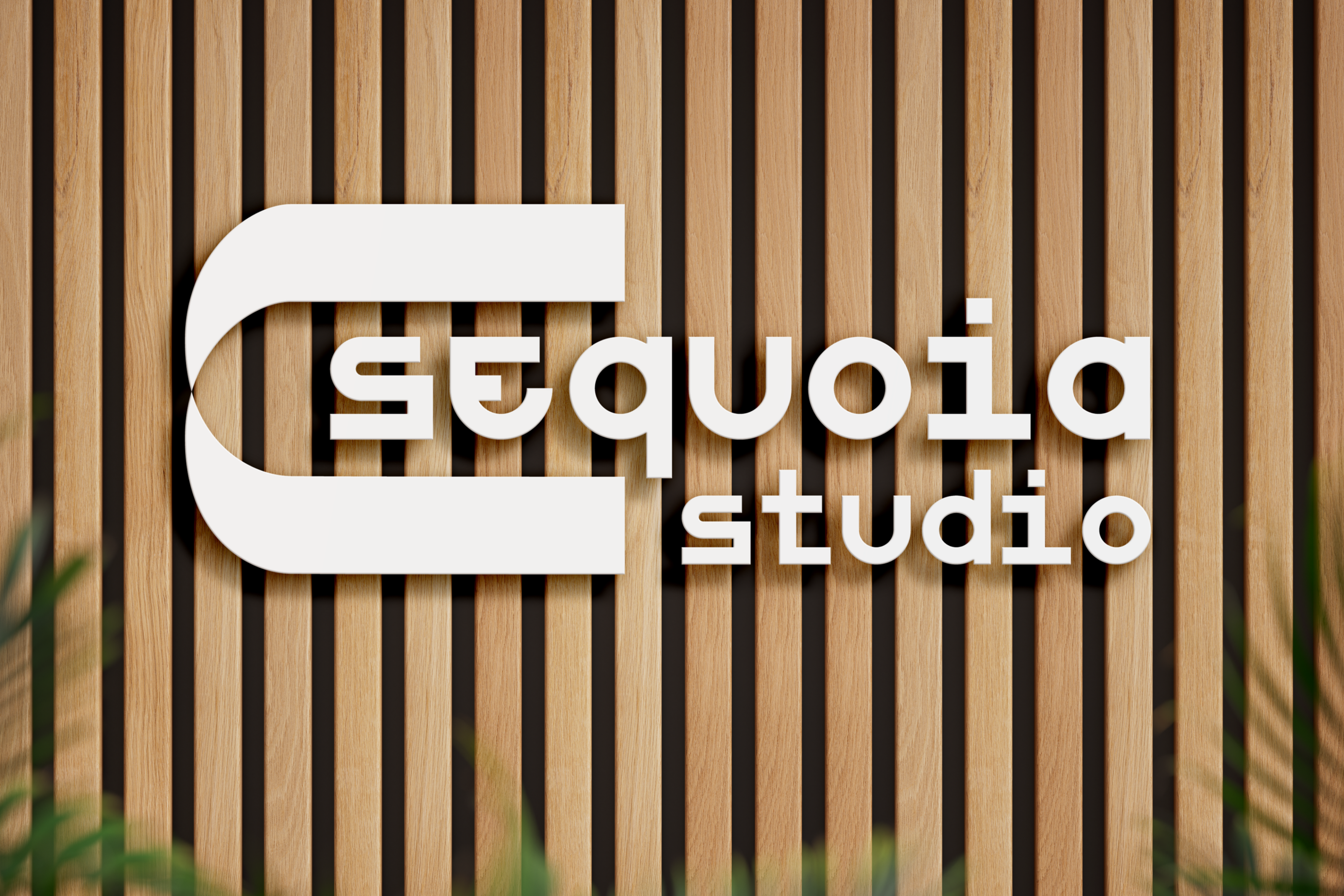 Sequoia Studio branding — Изображение №15 — Брендинг на Dprofile