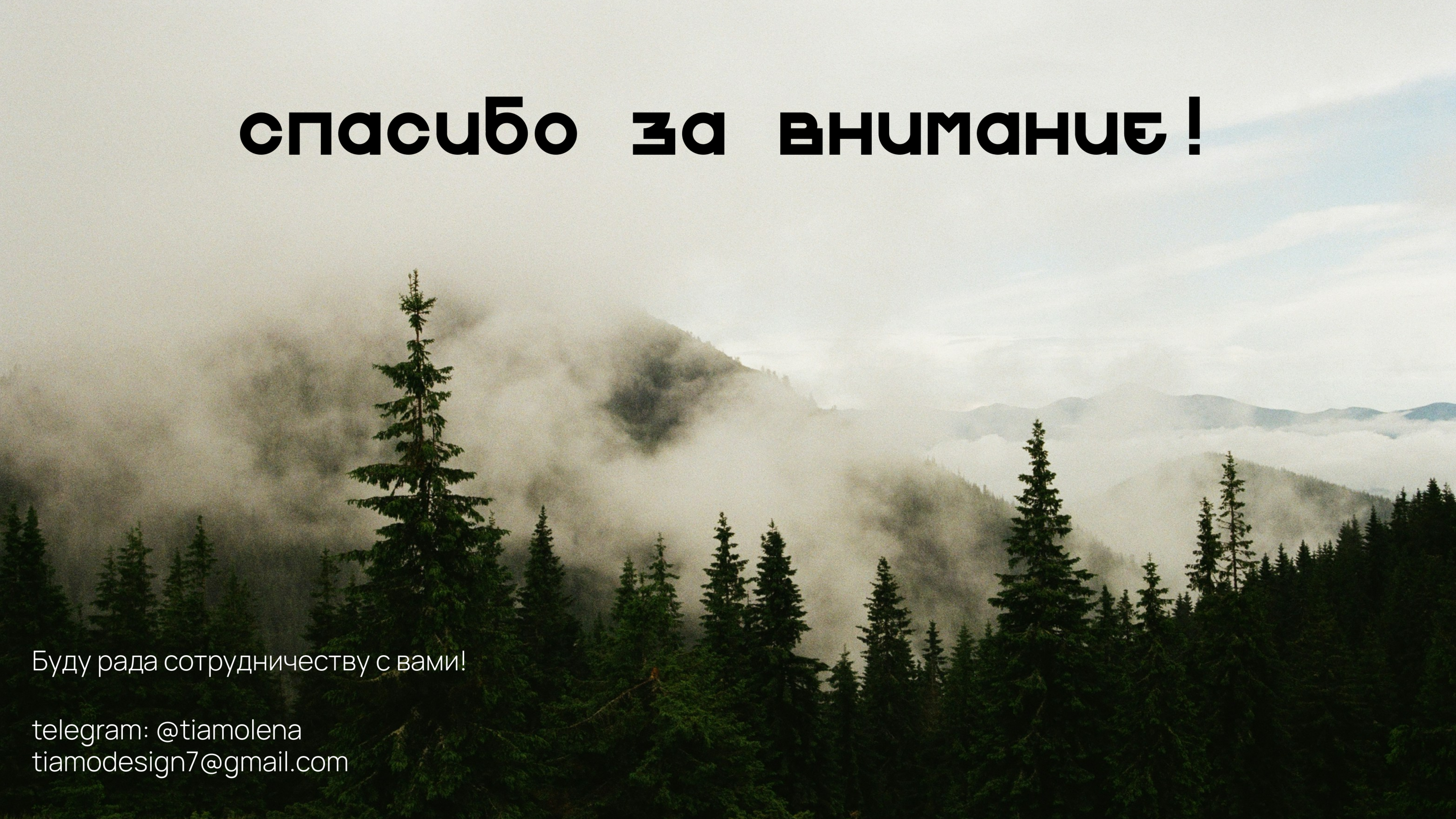 Sequoia Studio branding — Изображение №28 — Брендинг на Dprofile