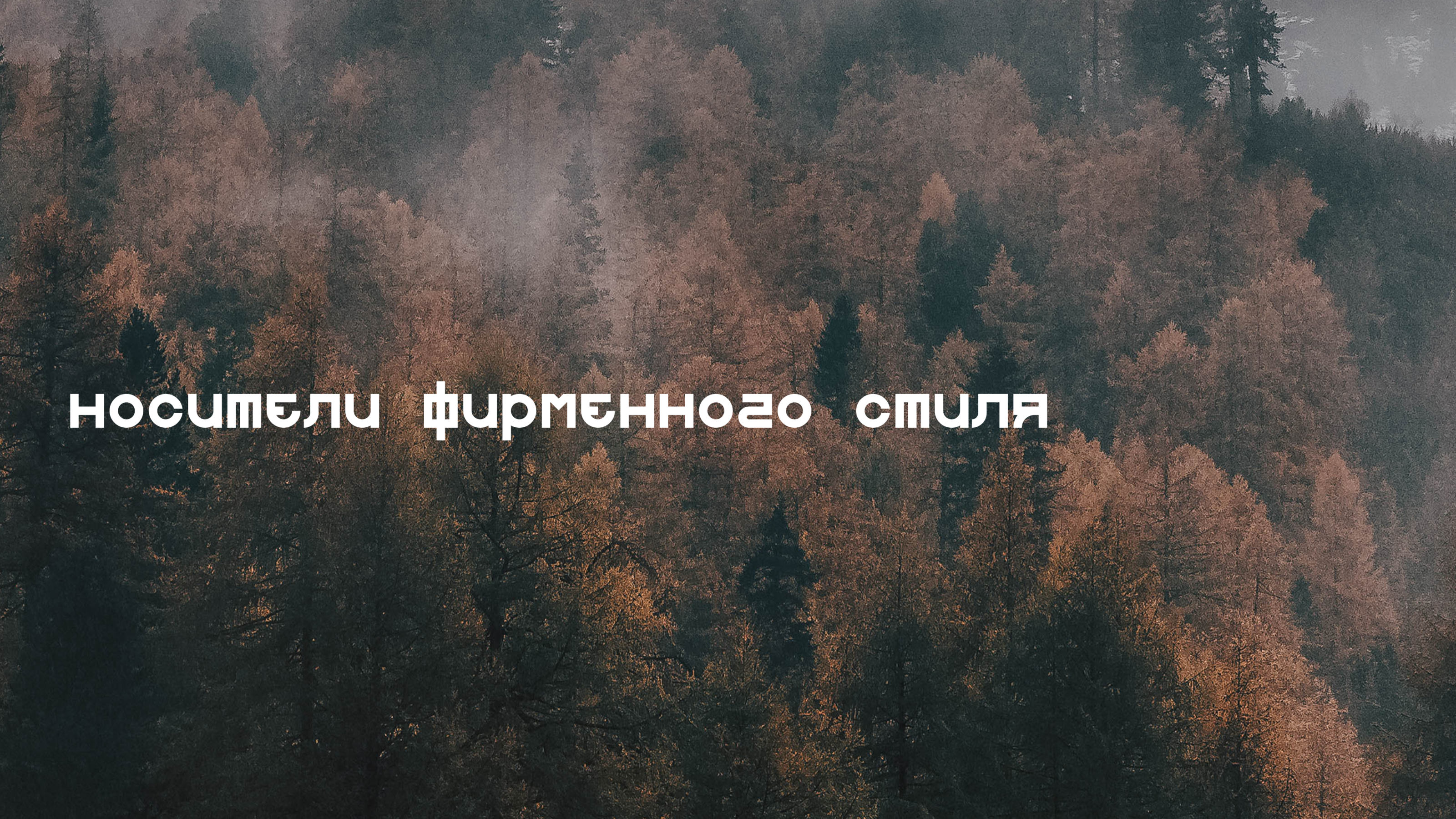 Sequoia Studio branding — Изображение №10 — Брендинг на Dprofile