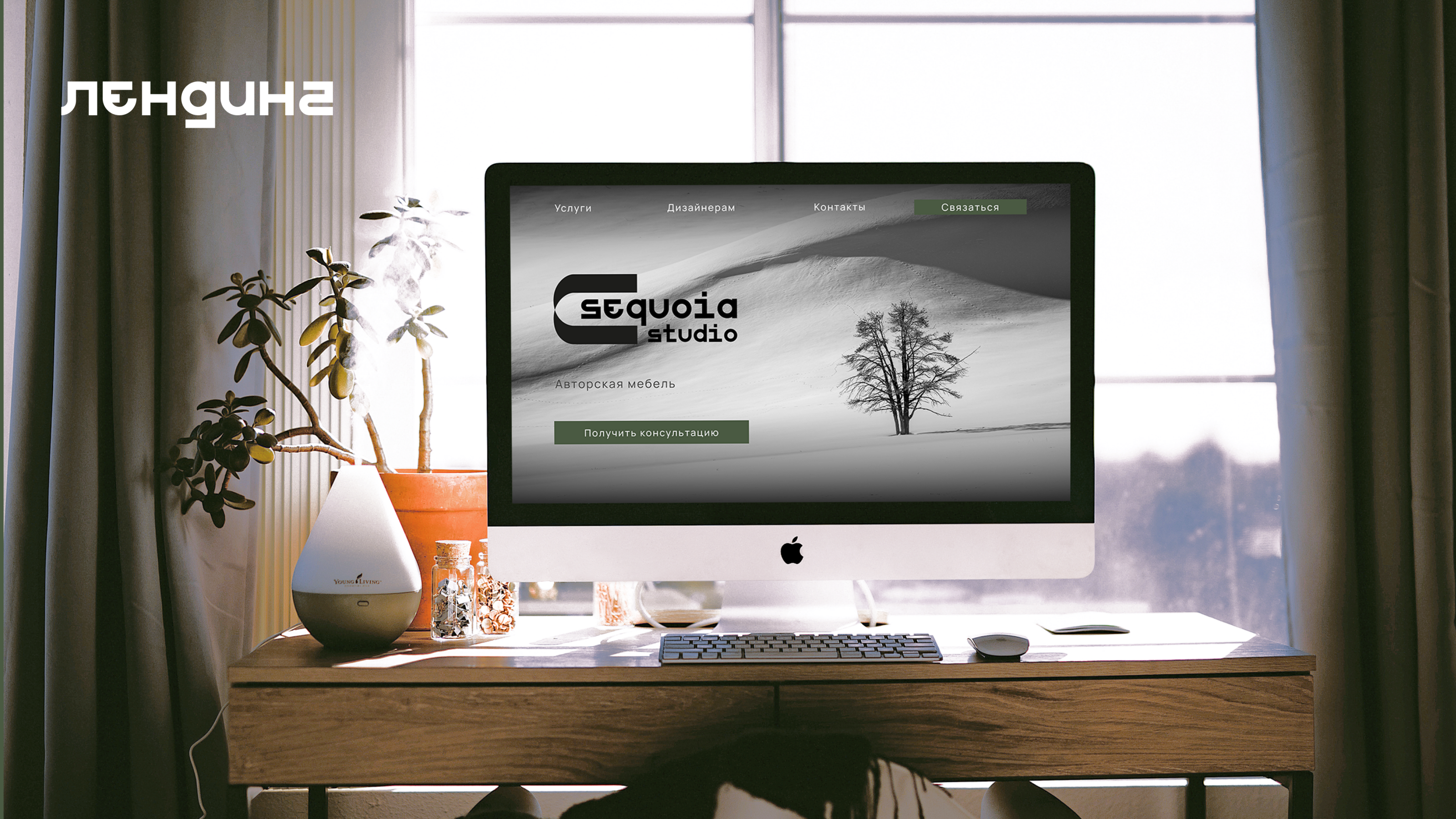 Sequoia Studio branding — Изображение №18 — Брендинг на Dprofile