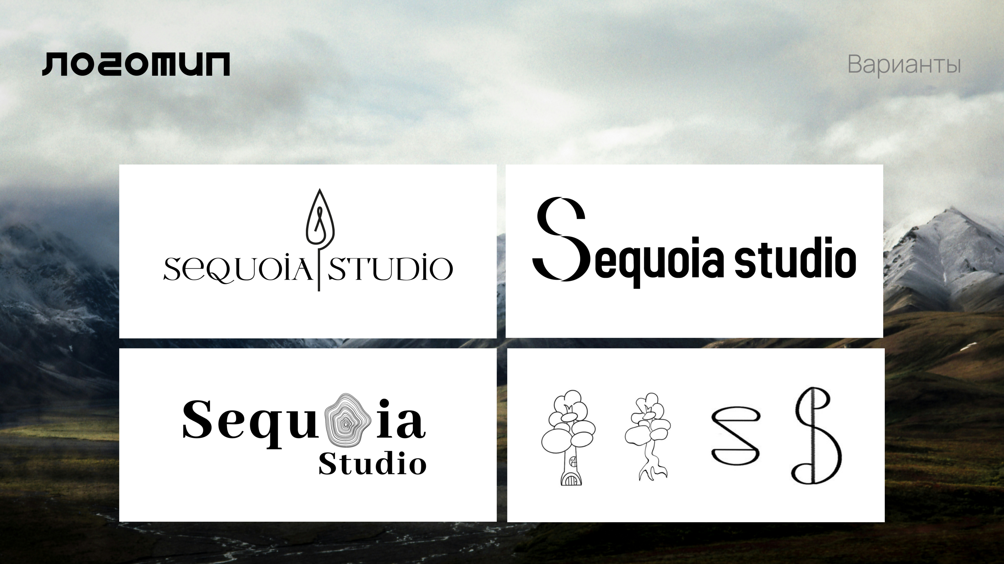 Sequoia Studio branding — Изображение №5 — Брендинг на Dprofile