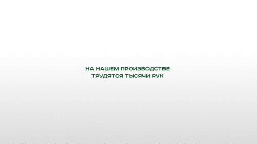 Полюс — Золотые Правила — Изображение №10 — Иллюстрация, Анимация на Dprofile