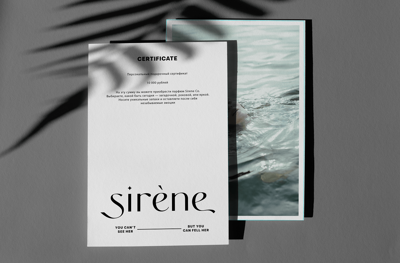 Логотип, айдентика и дизайн упаковки Sirène Co. — Изображение №15 — Брендинг, Графика на Dprofile