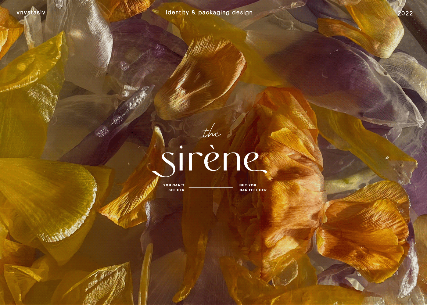 Логотип, айдентика и дизайн упаковки Sirène Co. — Изображение №1 — Брендинг, Графика на Dprofile