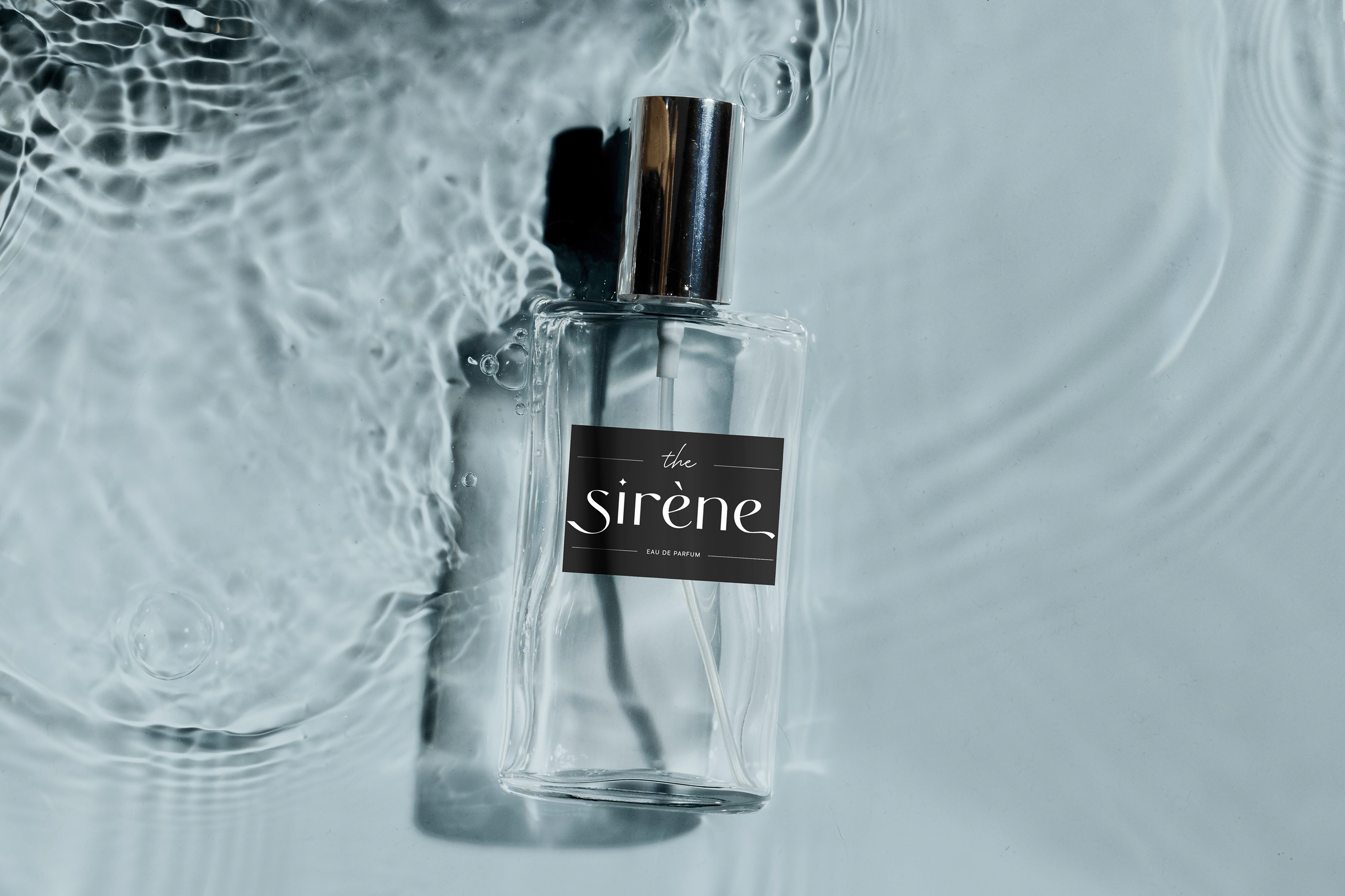 Логотип, айдентика и дизайн упаковки Sirène Co. — Изображение №11 — Брендинг, Графика на Dprofile