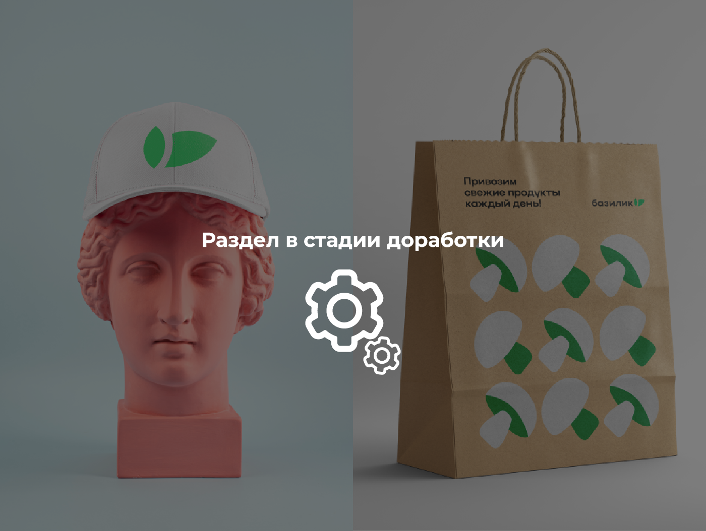 Фирменный стиль сети продуктовых магазинов «Базилик» — Изображение №14 — Брендинг, Графика на Dprofile