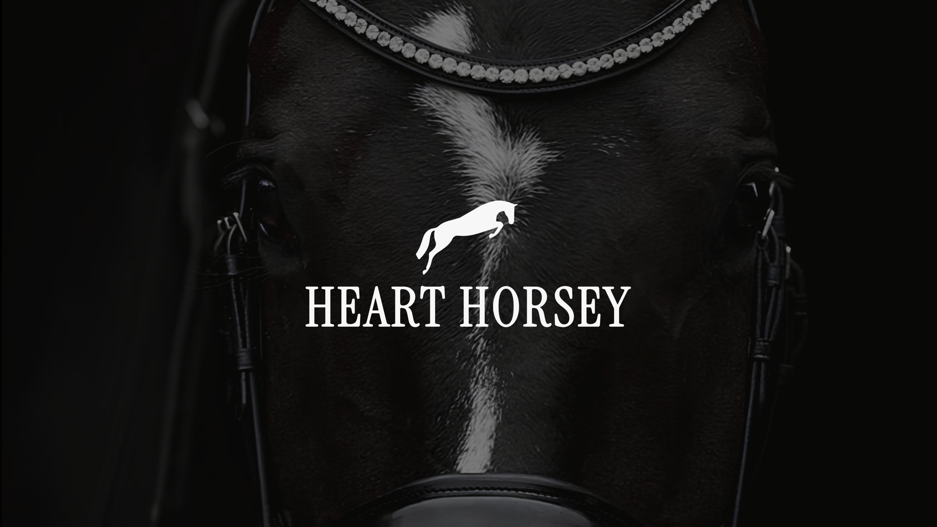HEART HORSEY / ФИРМЕННЫЙ СТИЛЬ BRAND IDENTITY / КОННЫЙ КЛУБ — Изображение №1 — Брендинг на Dprofile