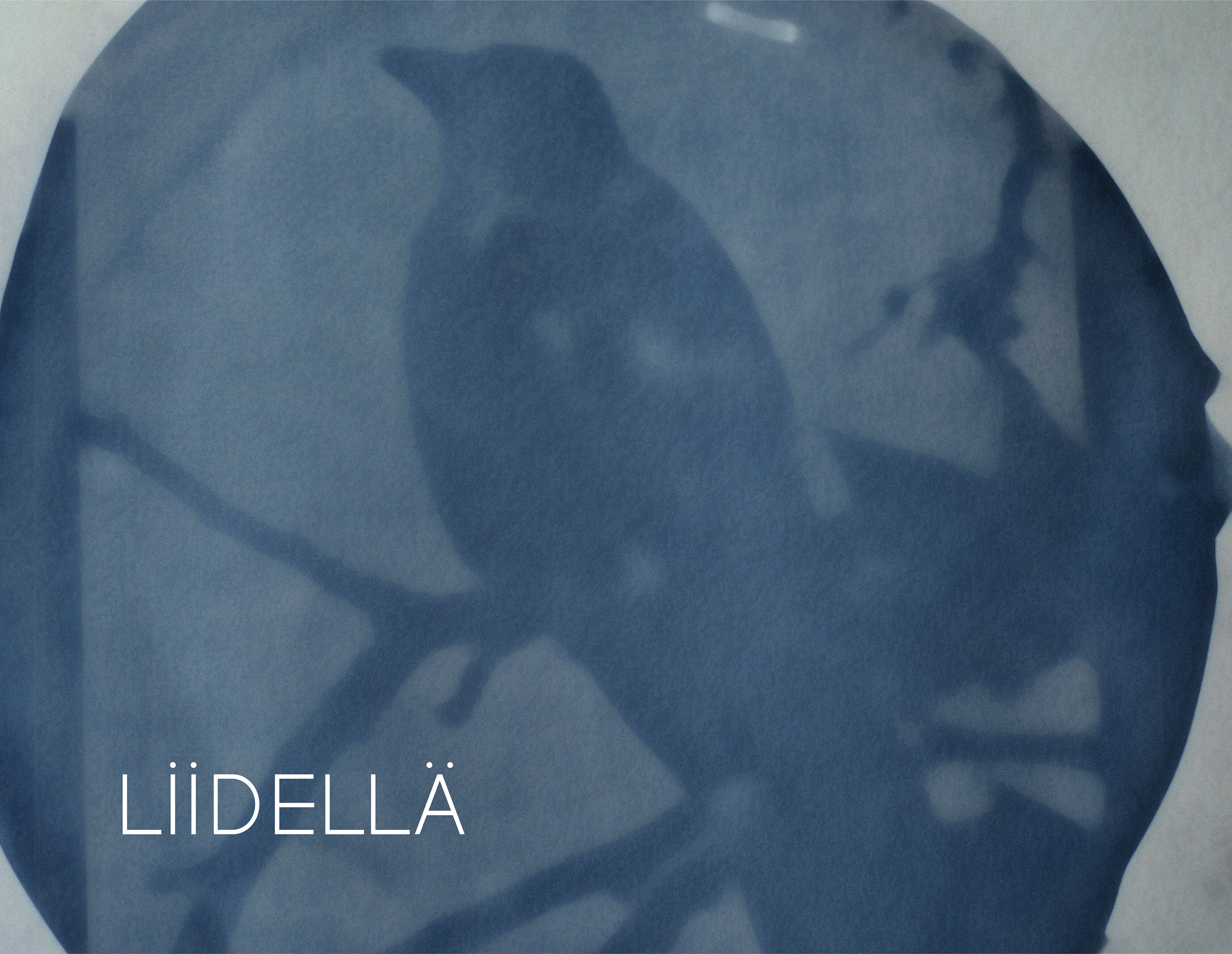 LIIDELLA - soap brand identity — Изображение №1 — Брендинг, Графика на Dprofile