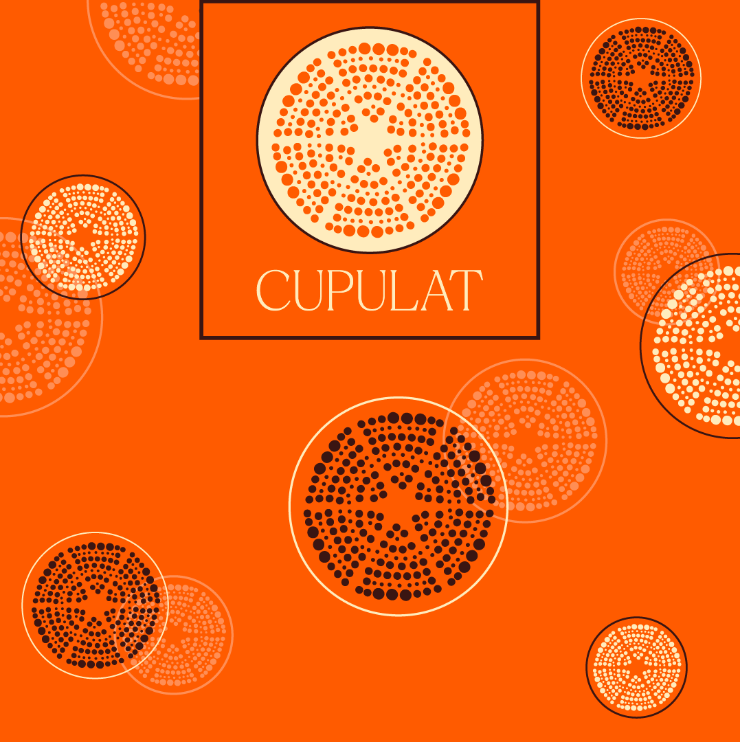 Логотип бренда шоколада CUPULAT — Изображение №6 — Брендинг на Dprofile