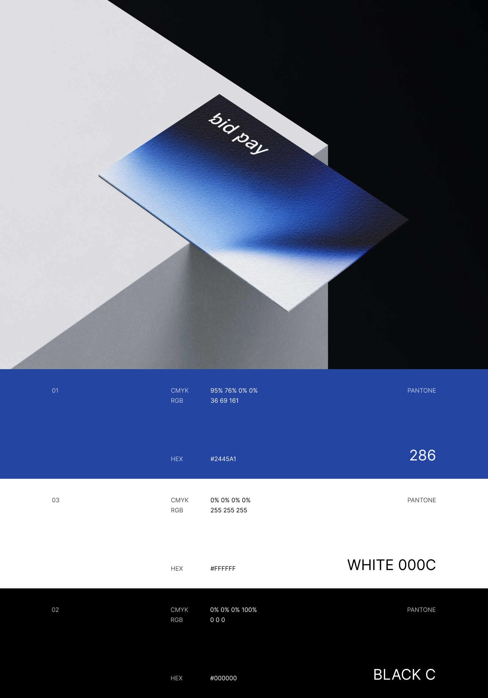 Bid Pay / Branding — Изображение №3 — Брендинг на Dprofile