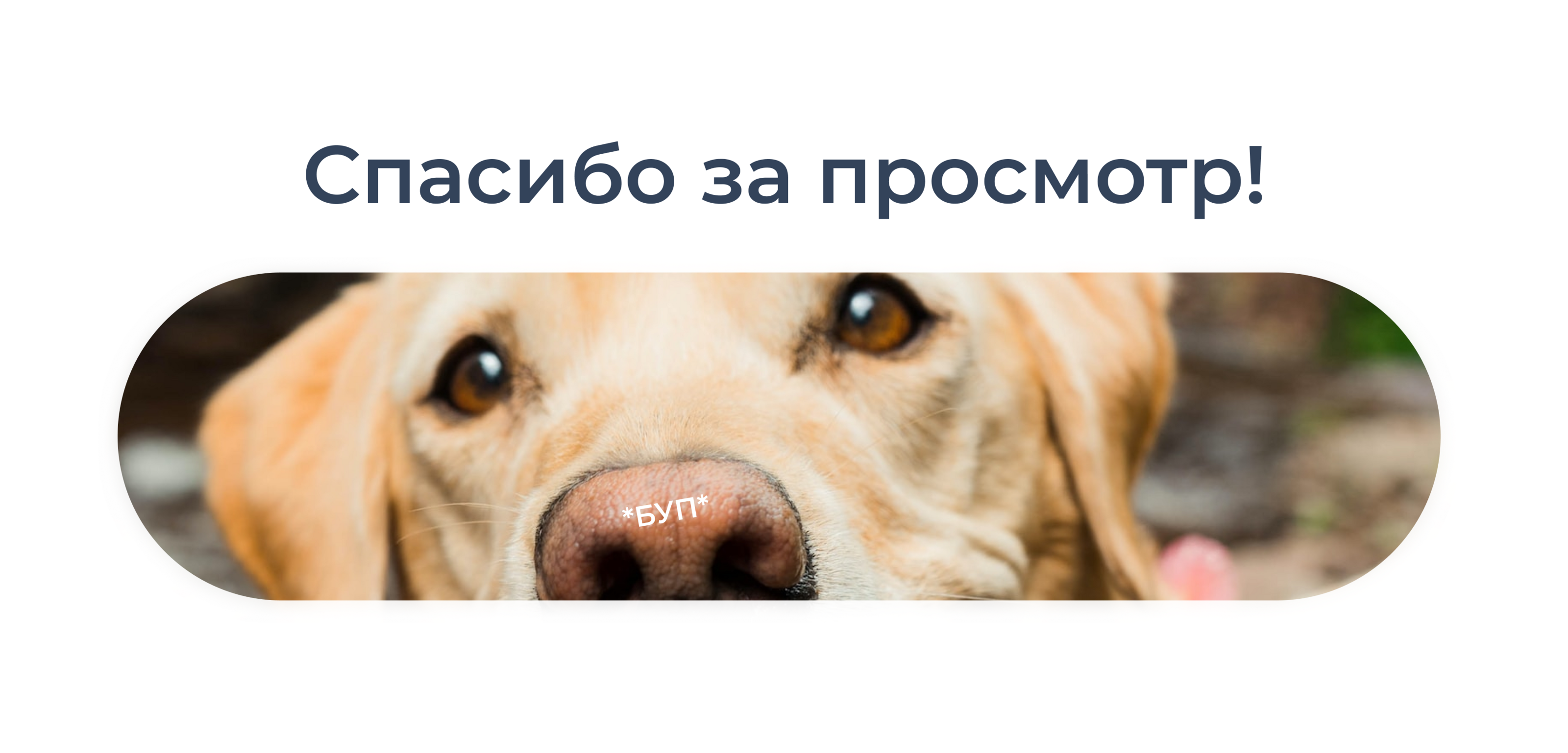 Ветеринарная клиника Dogdoc — Изображение №11 — Интерфейсы на Dprofile