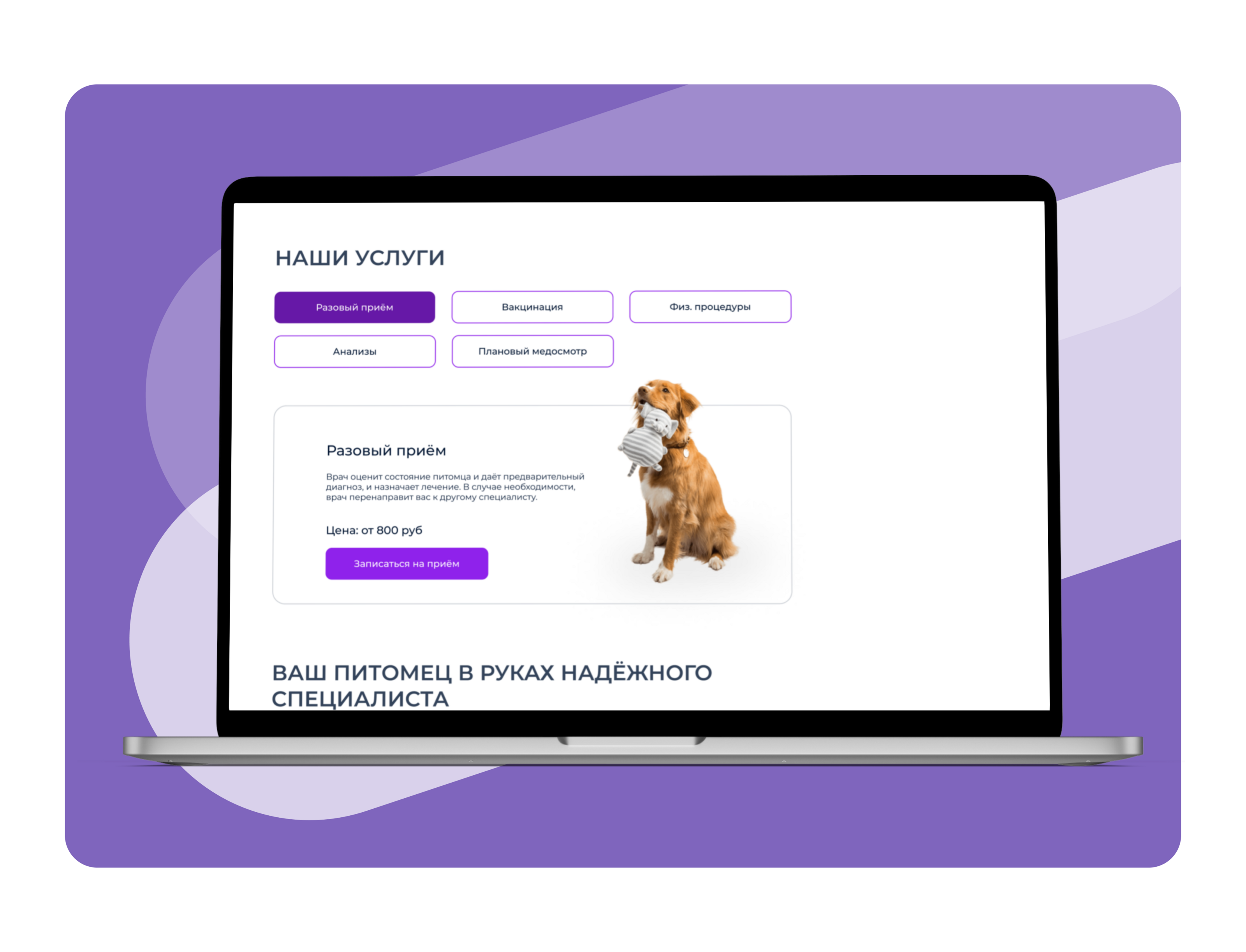 Ветеринарная клиника Dogdoc — Изображение №4 — Интерфейсы на Dprofile