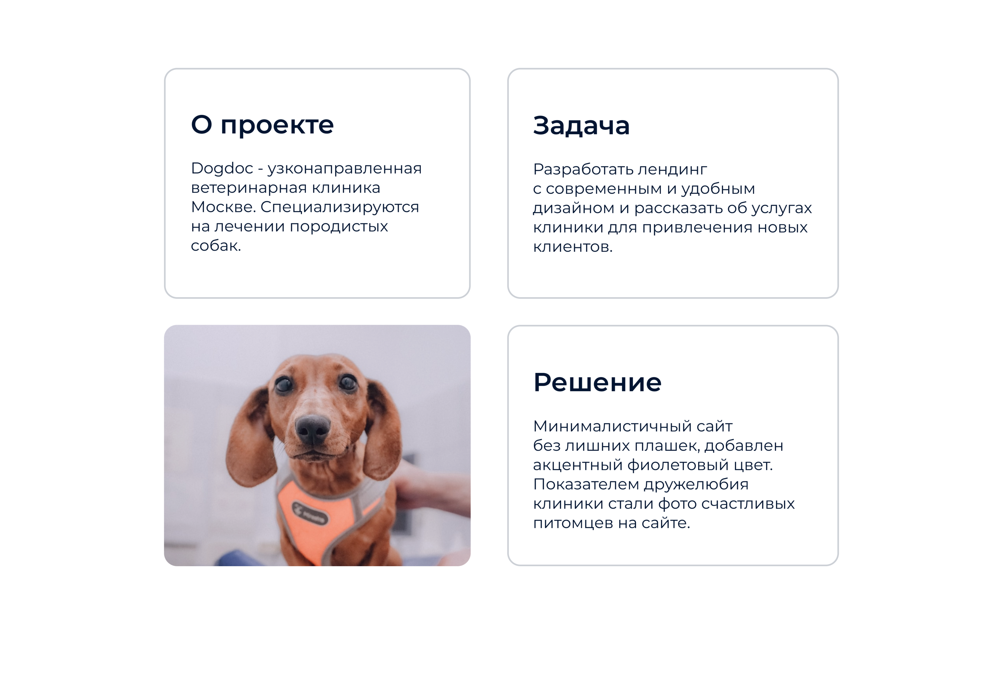 Ветеринарная клиника Dogdoc — Изображение №2 — Интерфейсы на Dprofile
