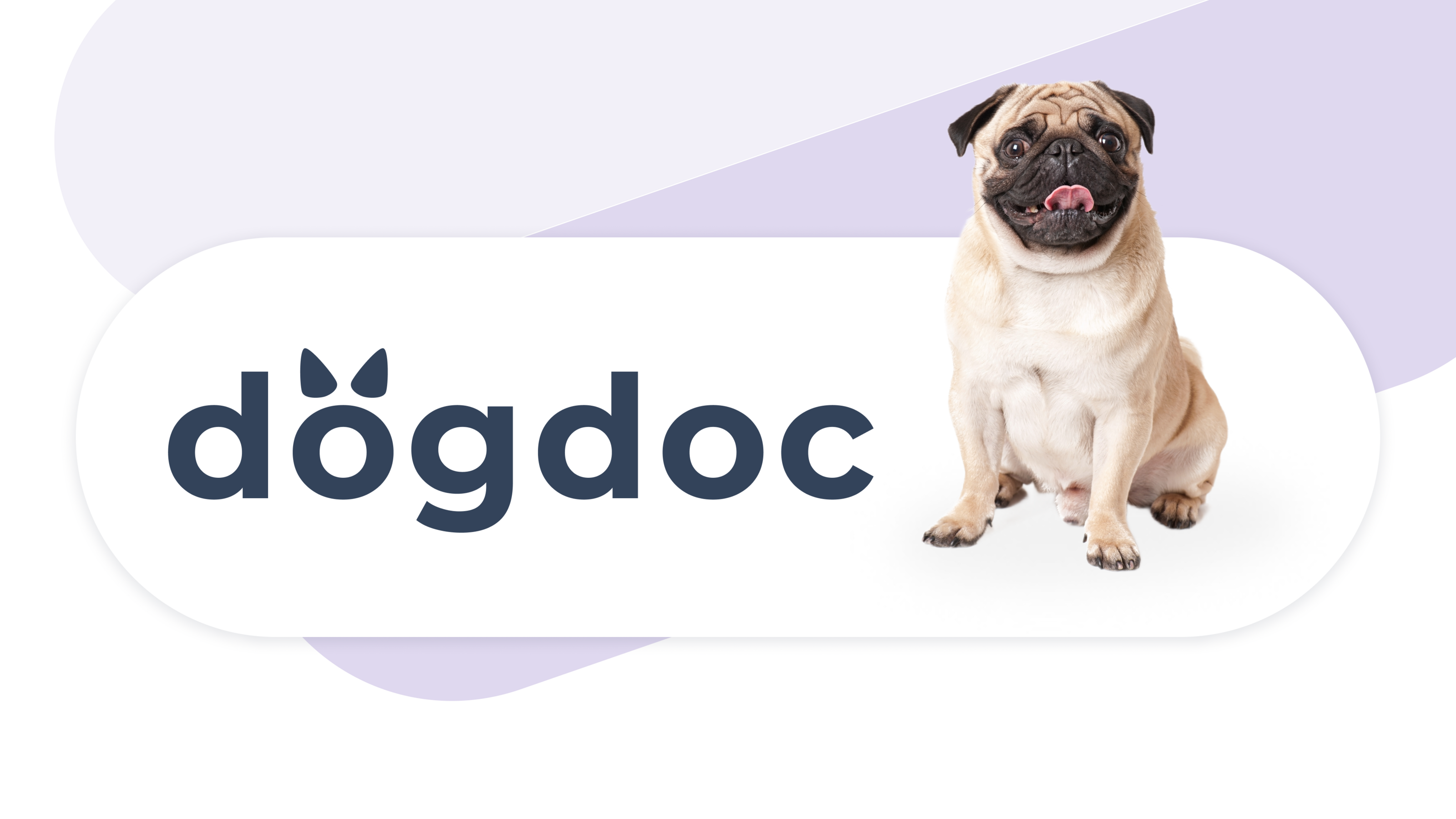 Ветеринарная клиника Dogdoc — Изображение №1 — Интерфейсы на Dprofile
