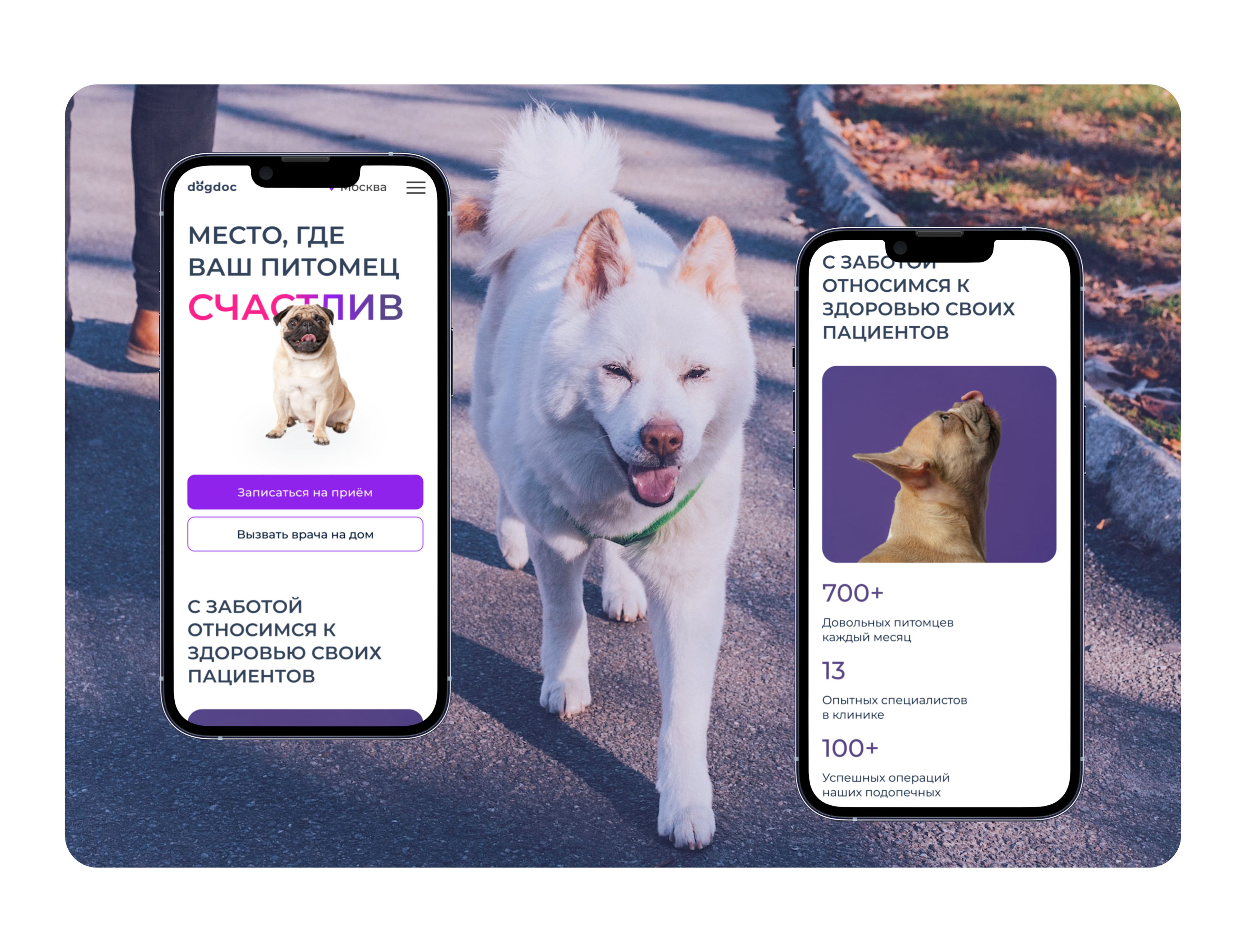 Ветеринарная клиника Dogdoc — Изображение №5 — Интерфейсы на Dprofile