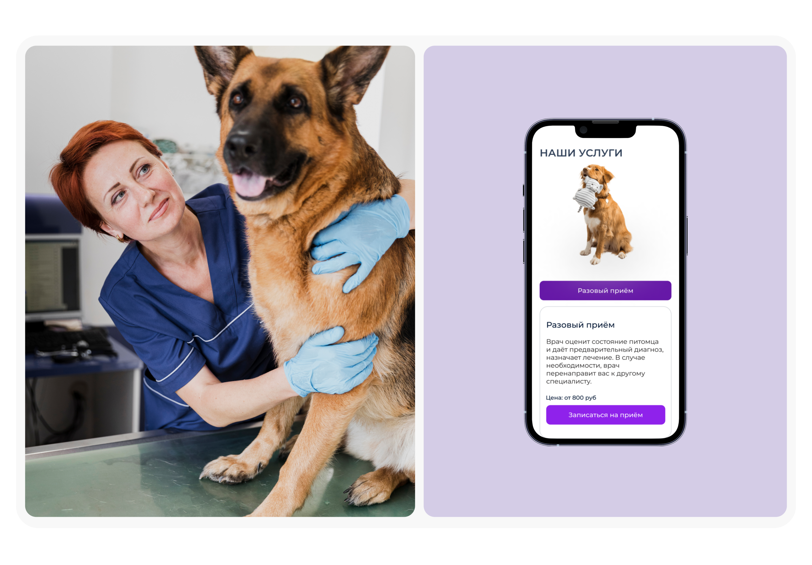 Ветеринарная клиника Dogdoc — Изображение №7 — Интерфейсы на Dprofile
