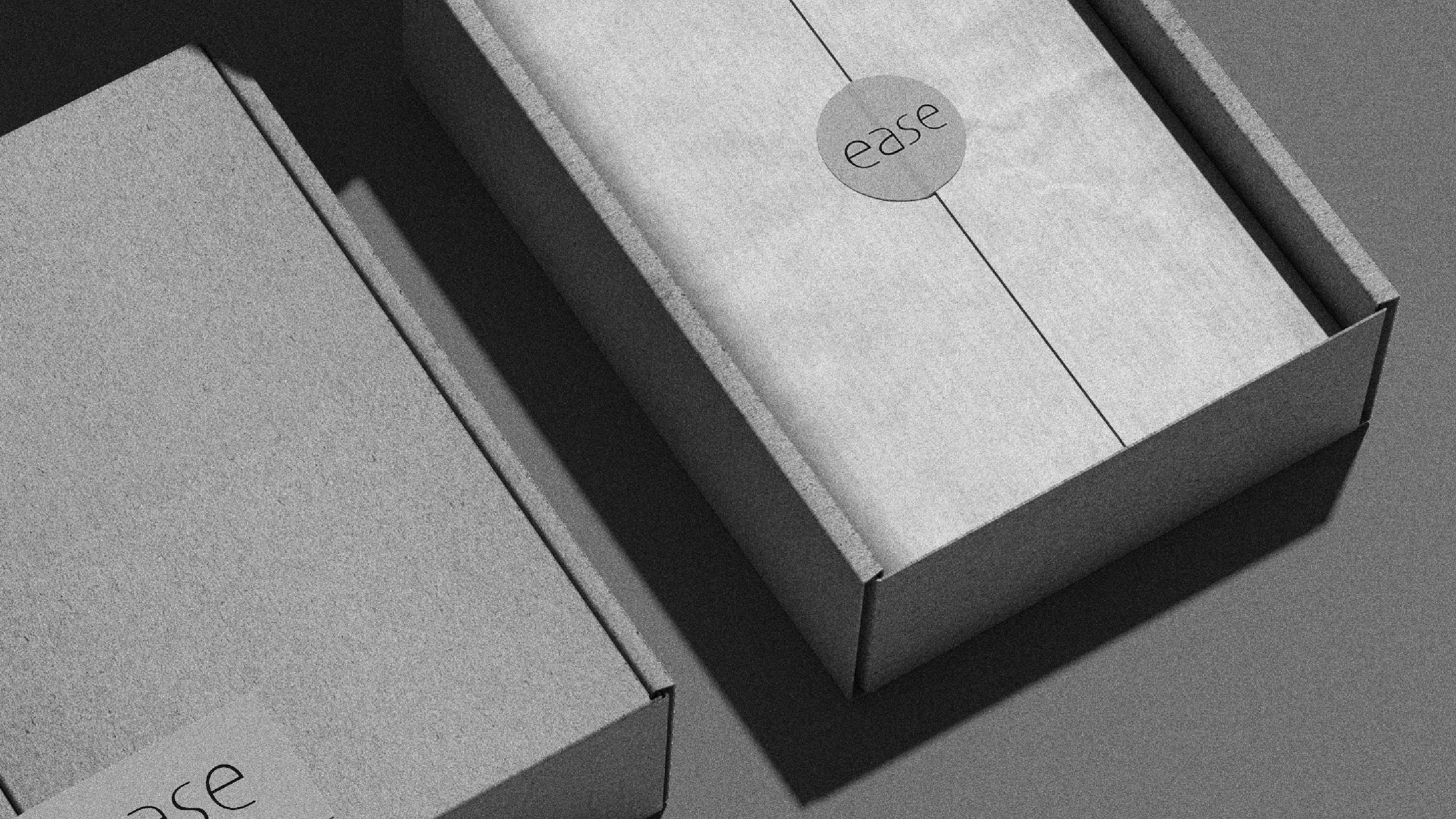 EASE логотип — Изображение №9 — Брендинг, Графика на Dprofile
