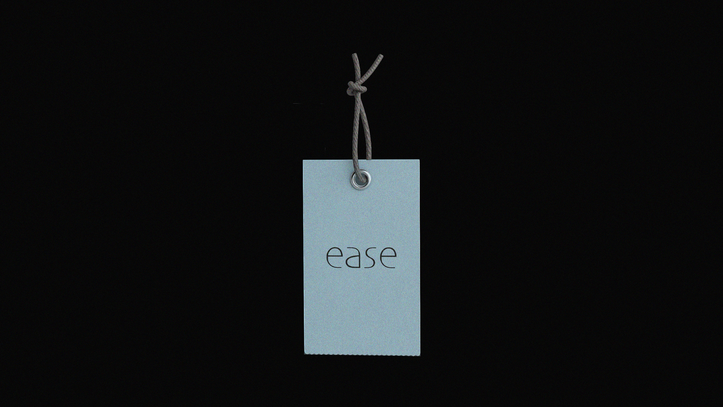 EASE логотип — Изображение №5 — Брендинг, Графика на Dprofile
