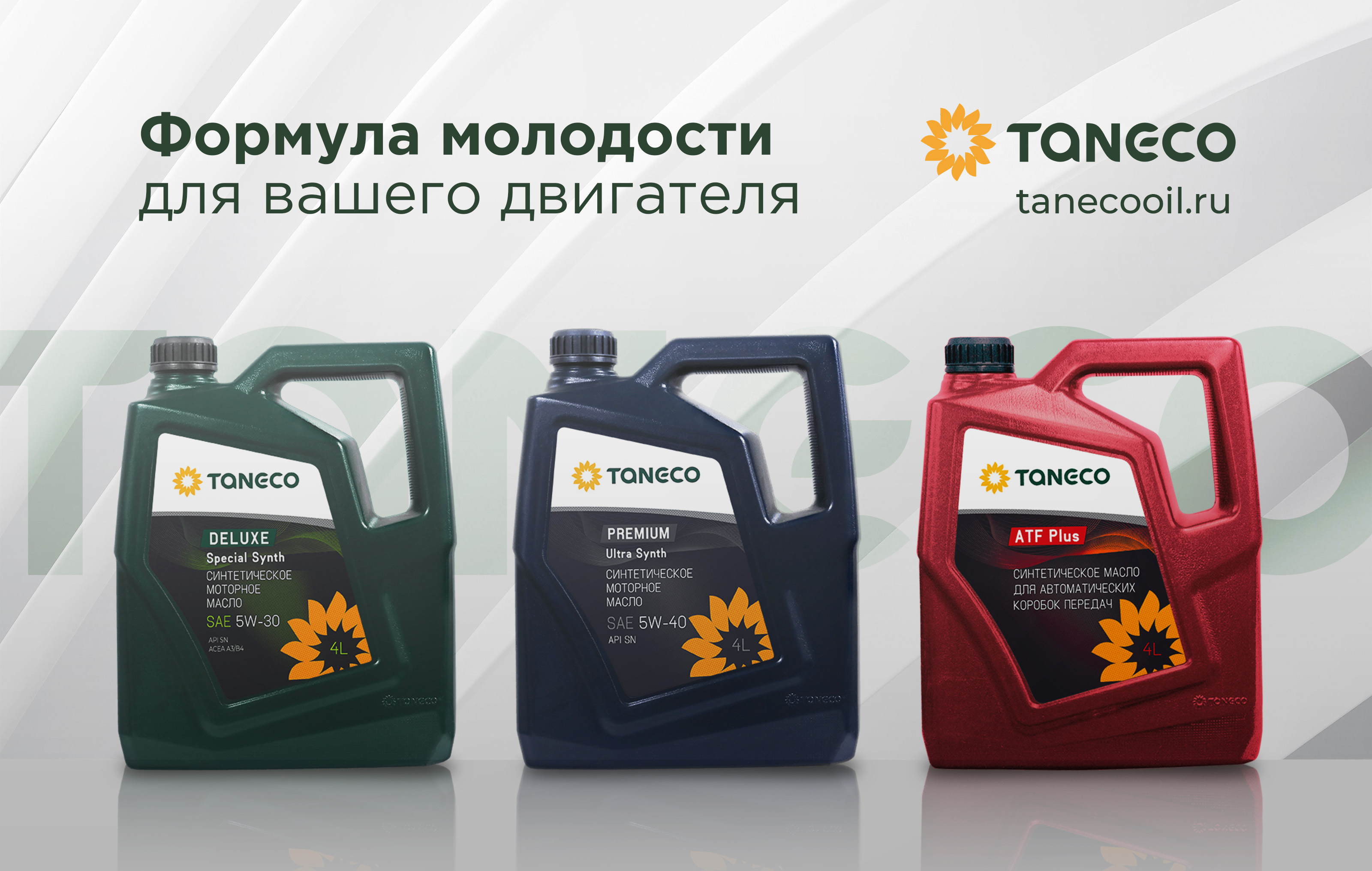Рекламные материалы TANECO — Изображение №8 — Графика на Dprofile