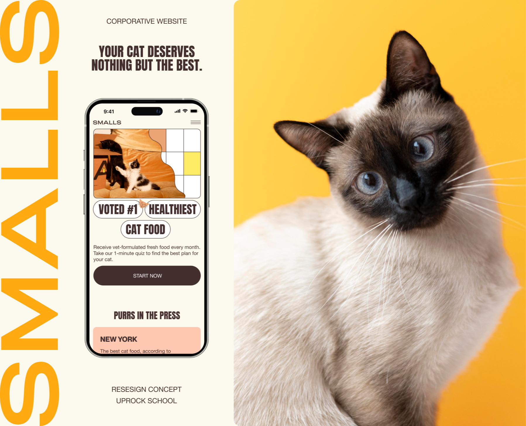 SMALLS | Corporate Website Redesign на Dprofile