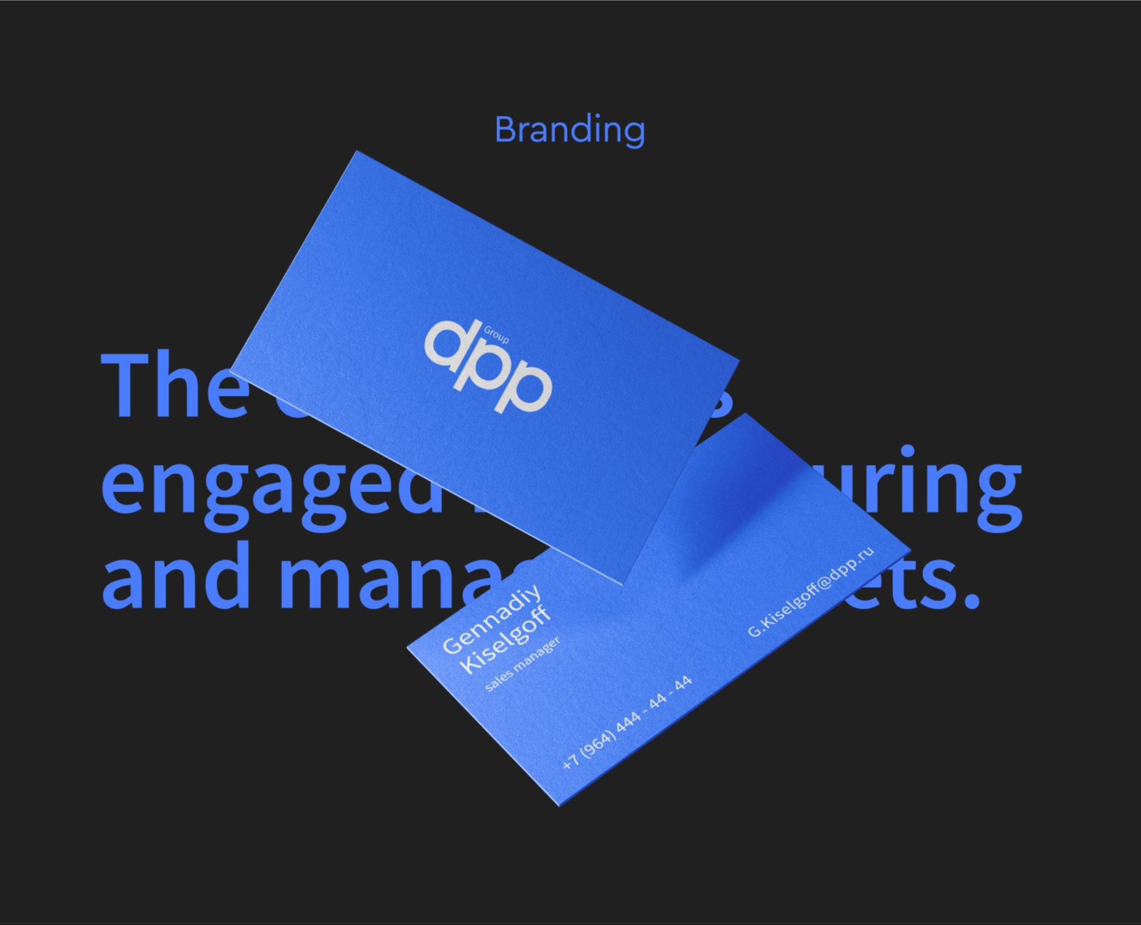 DPP brand identity — Брендинг, Иллюстрация на Dprofile