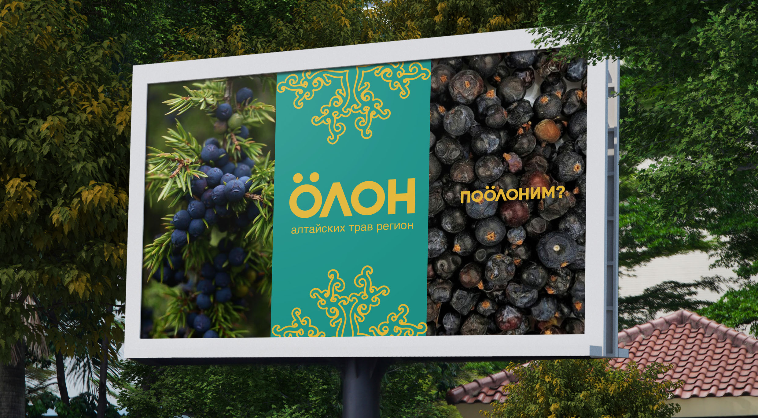 Бренд чайной лавки алтайских трав «ÖЛÖН» — Изображение №10 — Брендинг на Dprofile