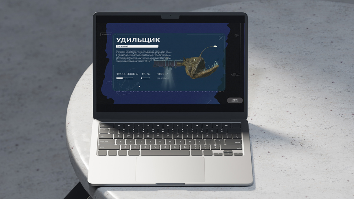 Лонгрид «Марианская впадина» — Изображение №9 — Интерфейсы на Dprofile