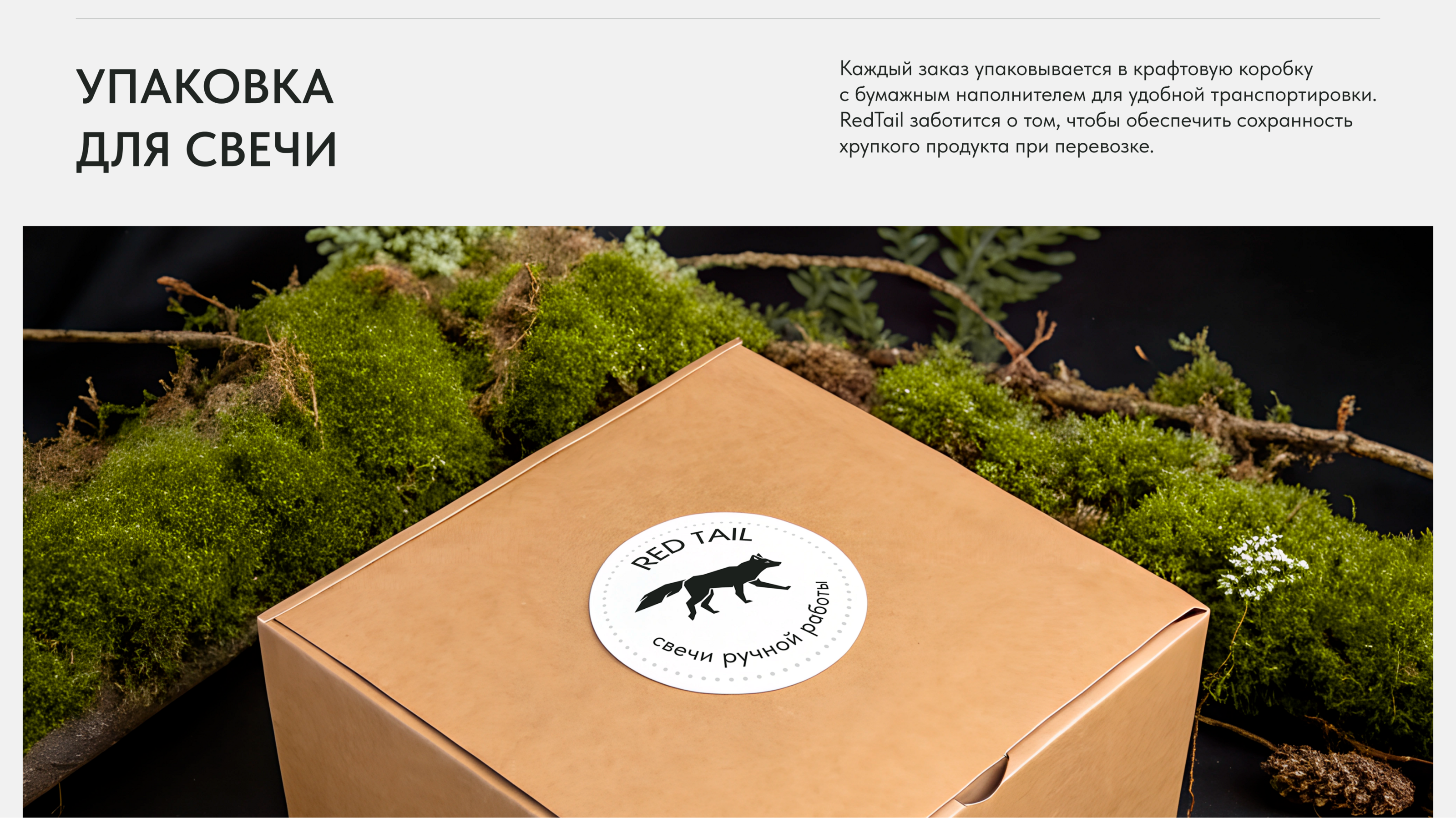 Red Tail — Изображение №8 — Брендинг, Иллюстрация на Dprofile