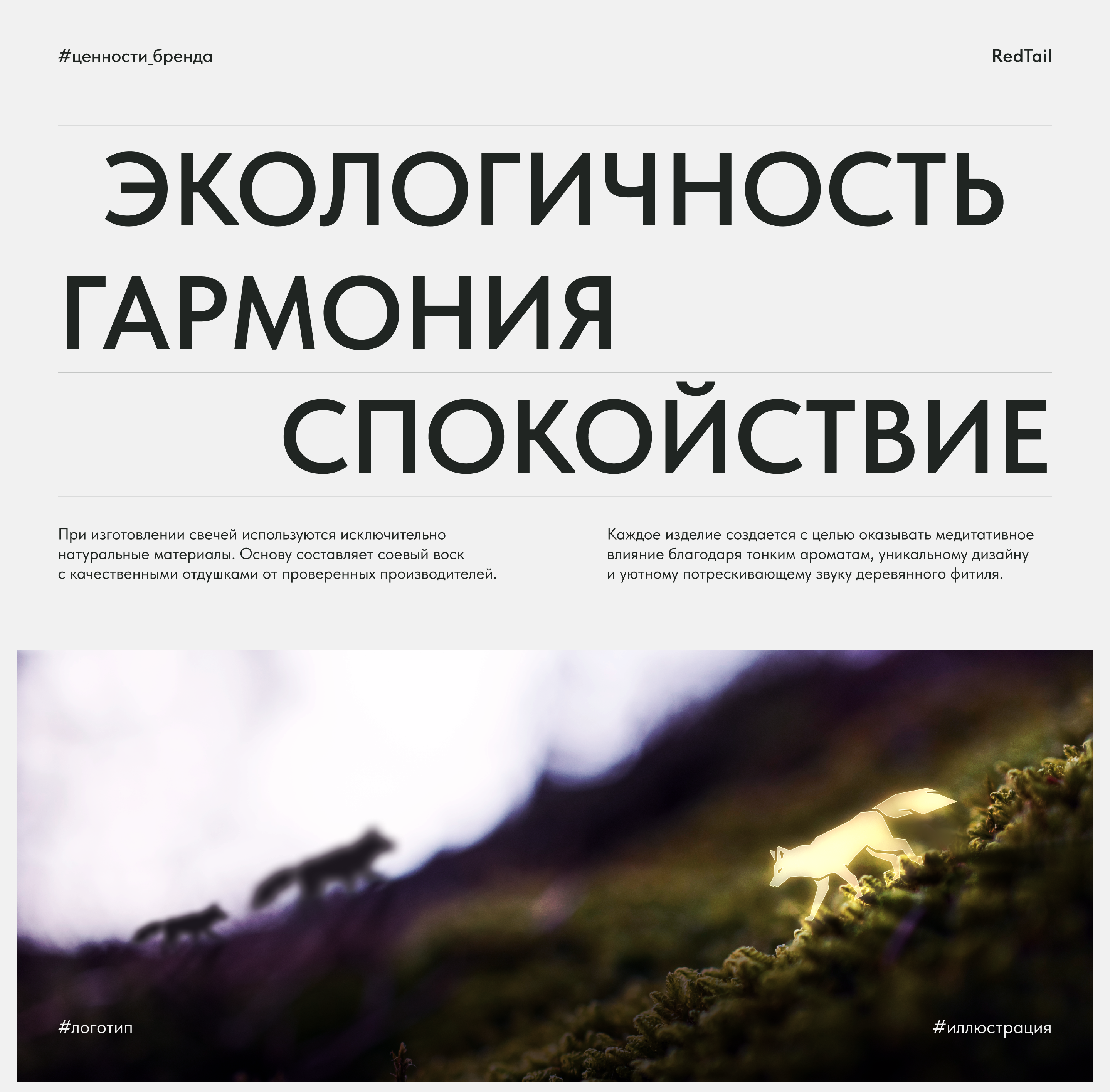 Red Tail — Изображение №5 — Брендинг, Иллюстрация на Dprofile