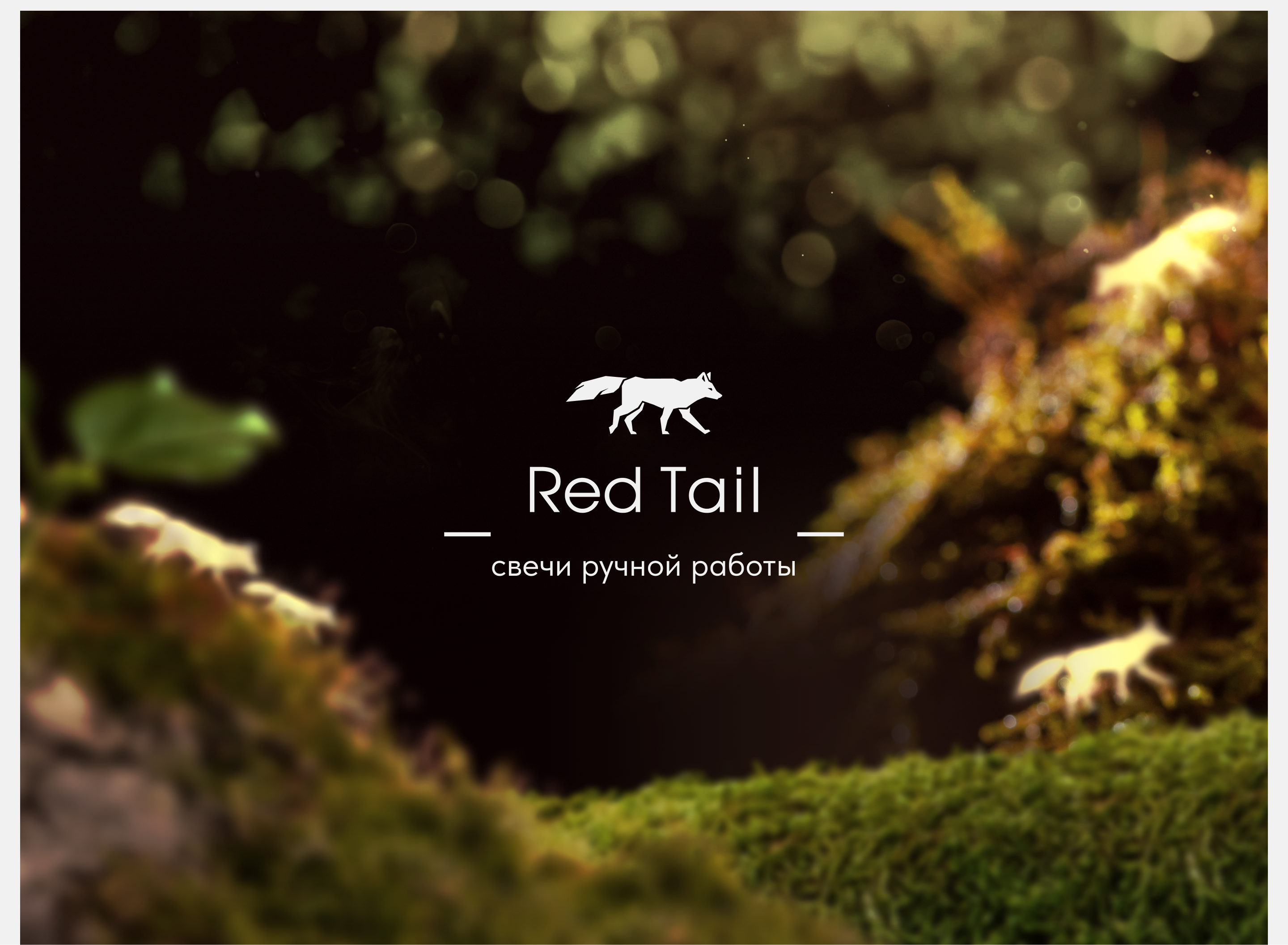 Red Tail — Изображение №10 — Брендинг, Иллюстрация на Dprofile